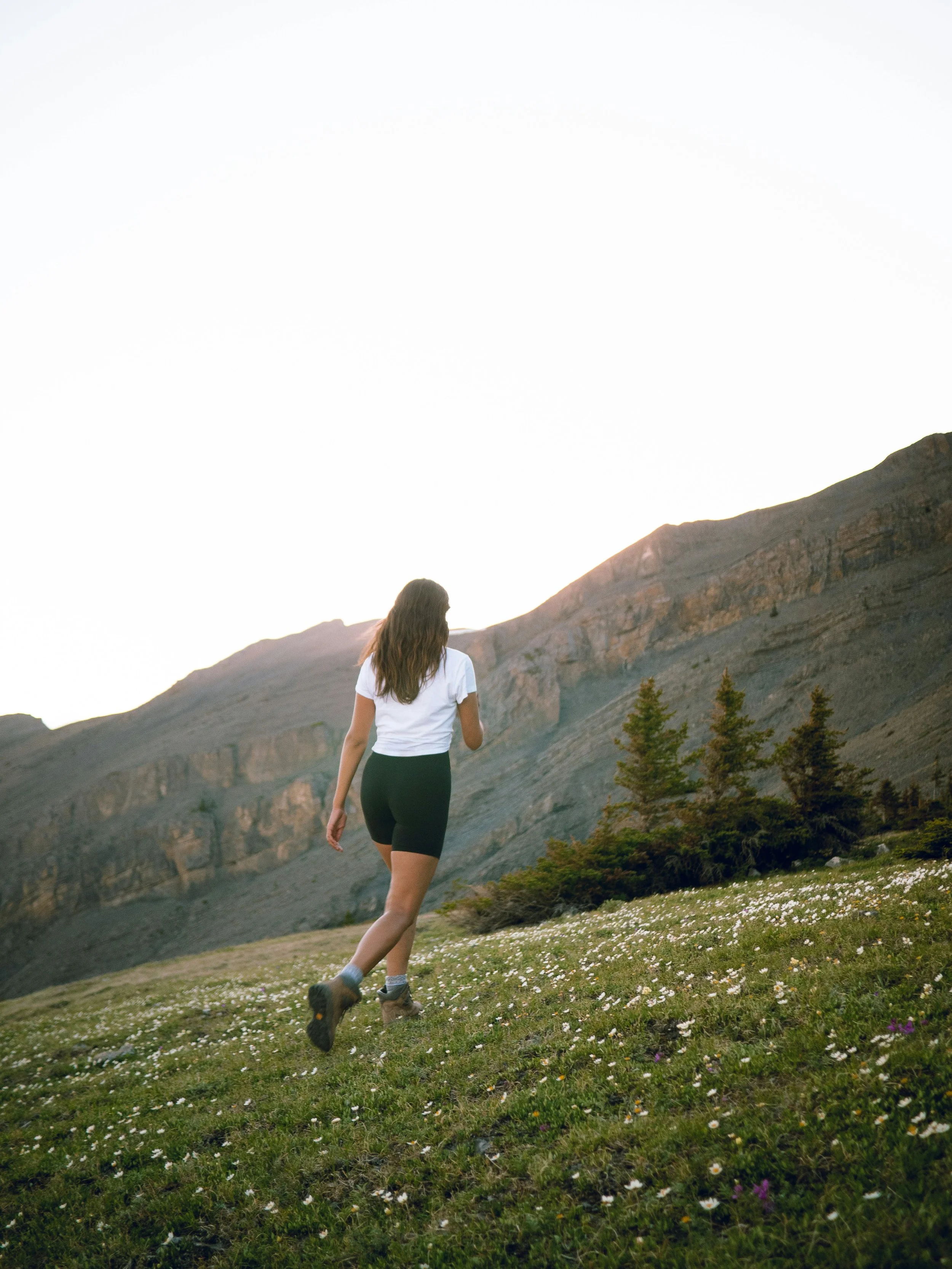 A woman hiking through a mountainous landscape with green grass, small white flowers, pine trees, and rugged cliffs in the distance at sunset.