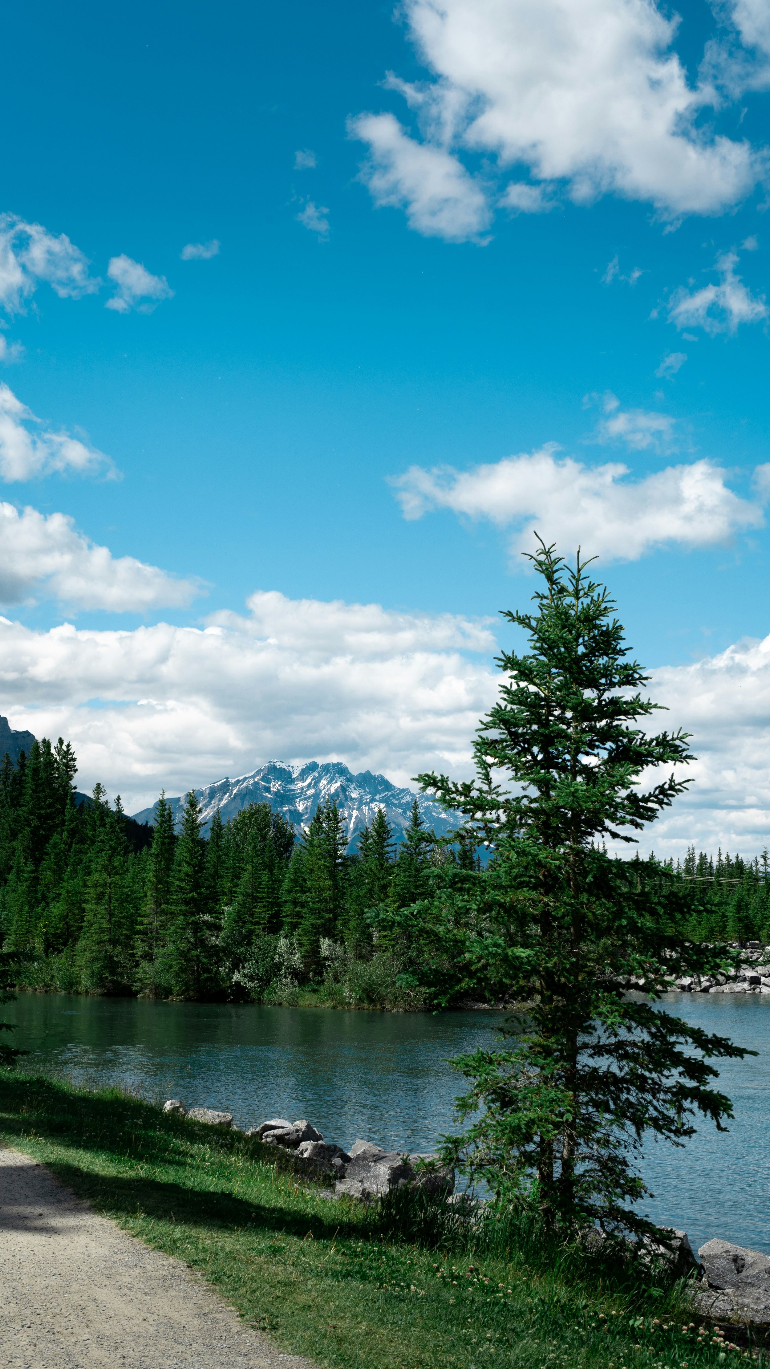 A landscape featuring a calm lake with a rocky shoreline, surrounded by dense green pine trees, with a backdrop of snow-capped mountains under a partly cloudy sky.
