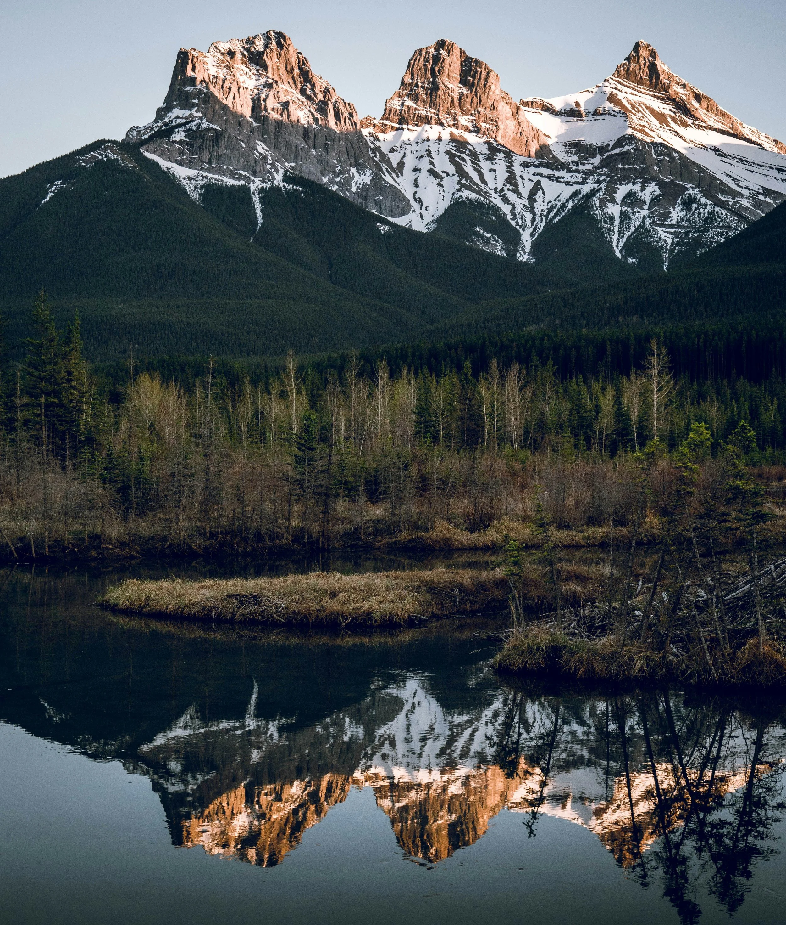 Mountains with snow and forest are reflected in a calm lake, with a clear sky above.