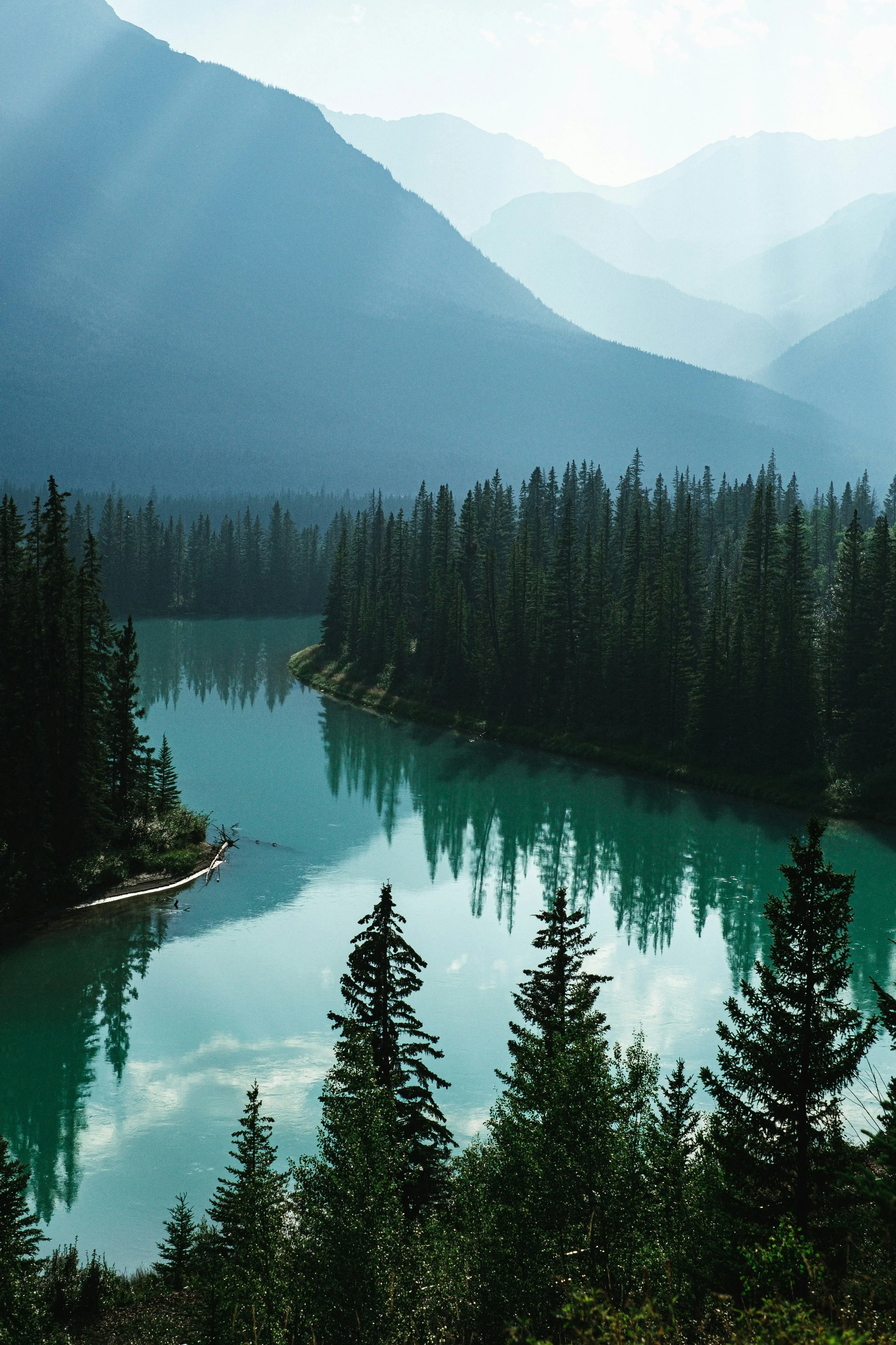 A serene mountain landscape with tall evergreen trees along the riverbank and misty mountains in the background under a bright sky.