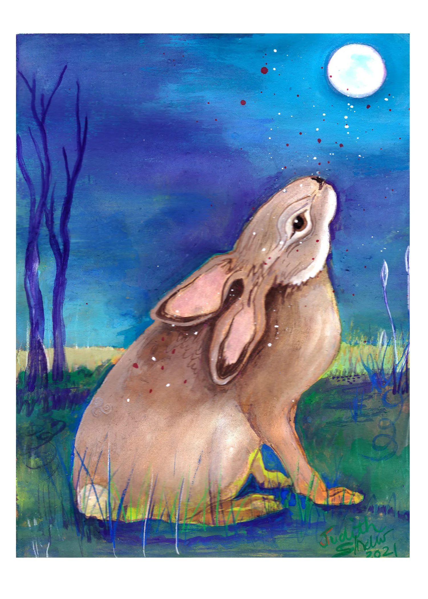 greeting card of animal painting Rabbit by Judith Shaw