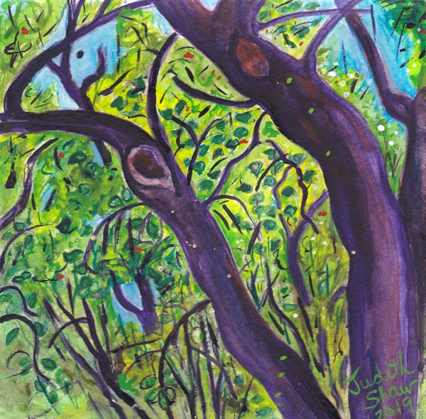 TreeKin72.jpg