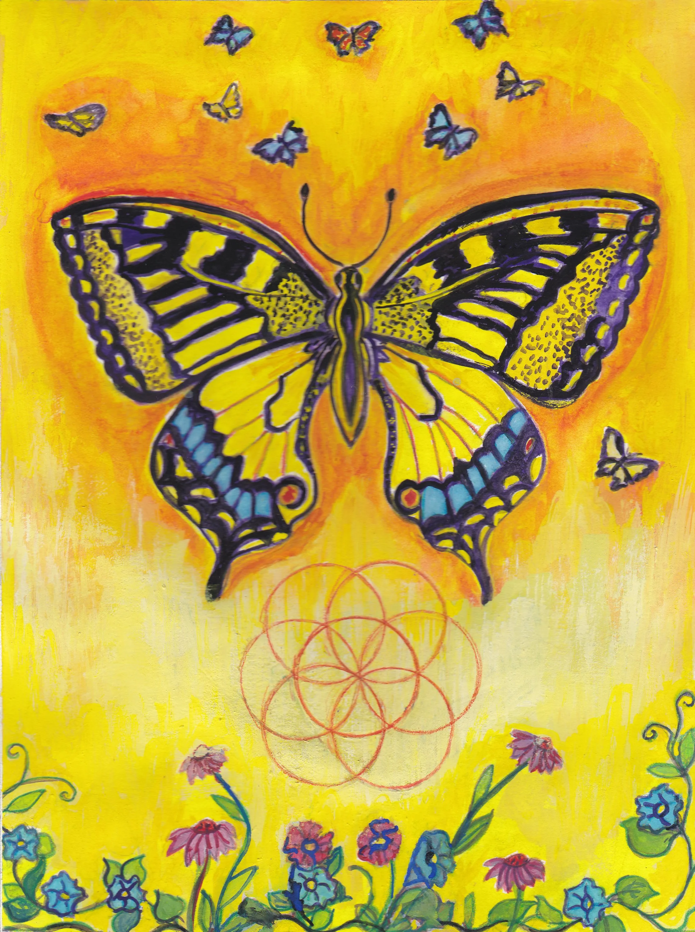 Butterfly