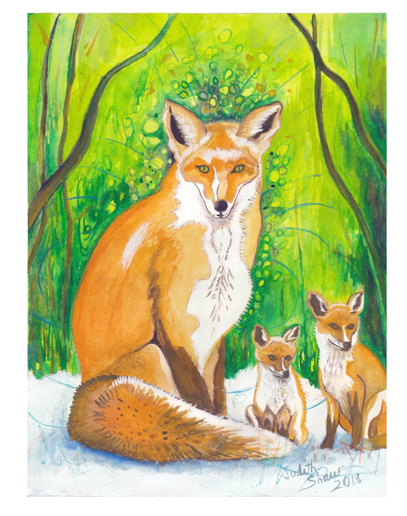 fox6pack.jpg
