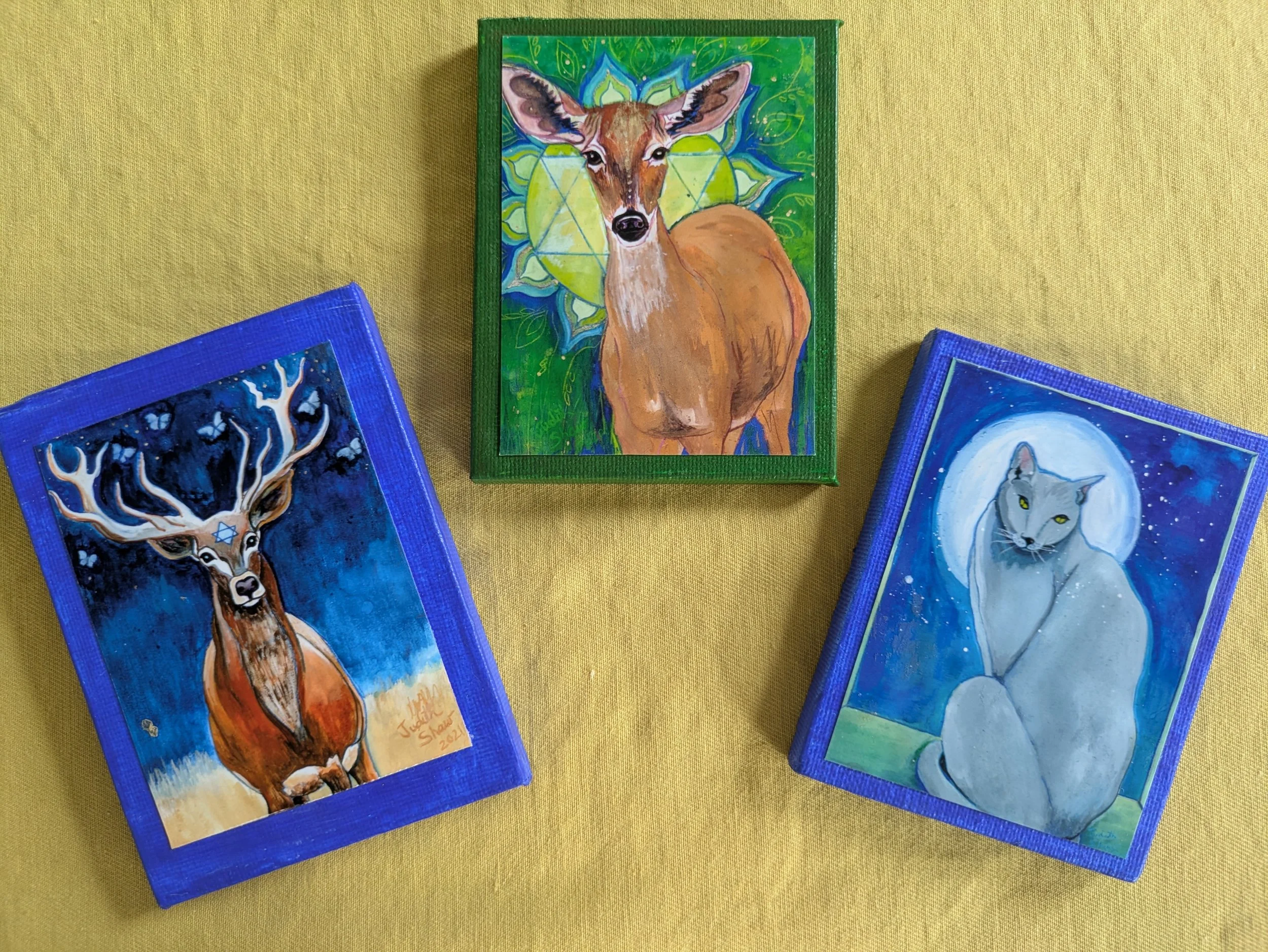 Mammals: Field & Forest