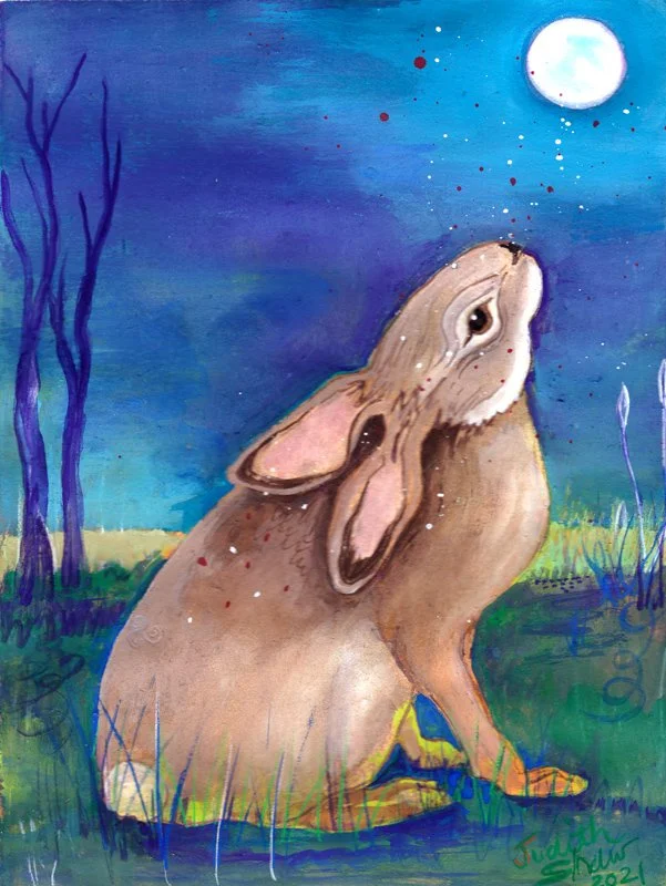 Rabbit72.jpg