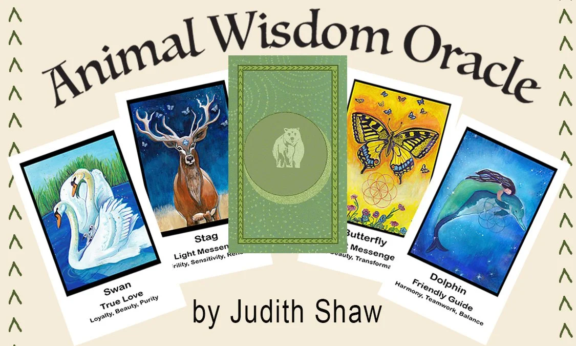 Animal Wisdom Oracle Deck