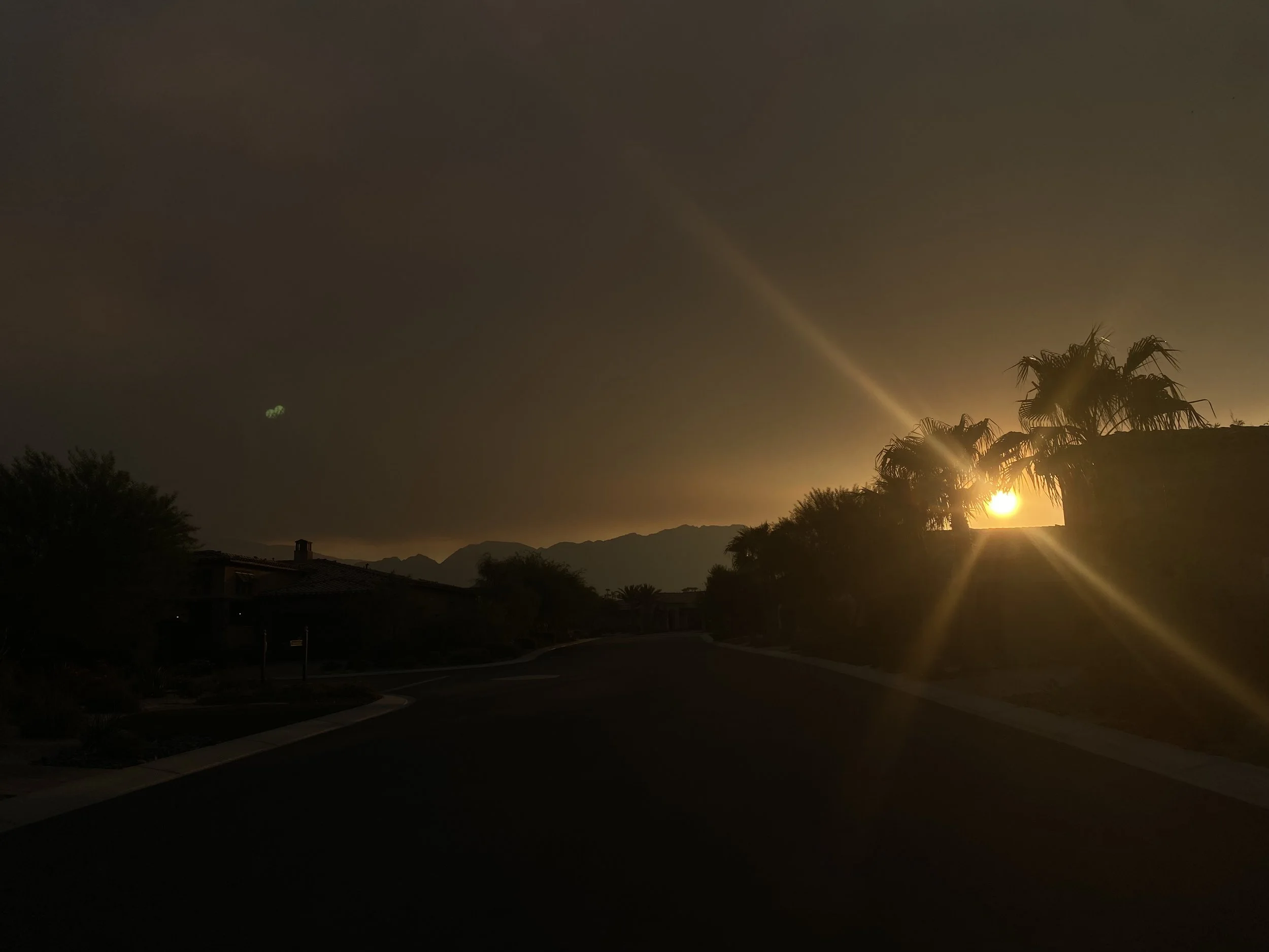 IMG_9593.jpeg