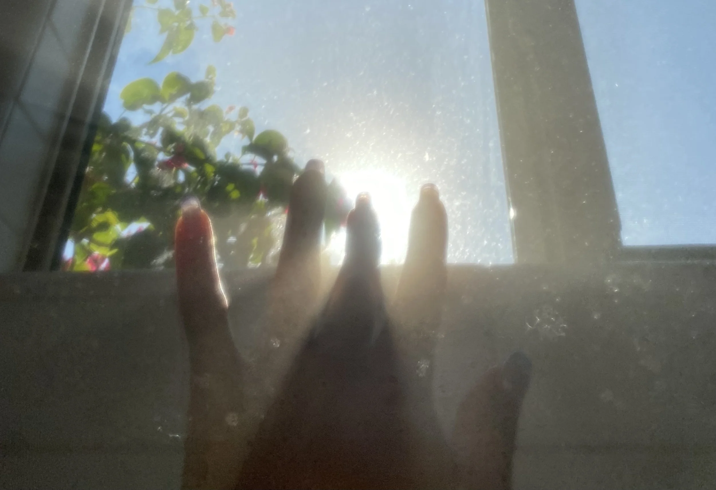 IMG_7419.jpeg