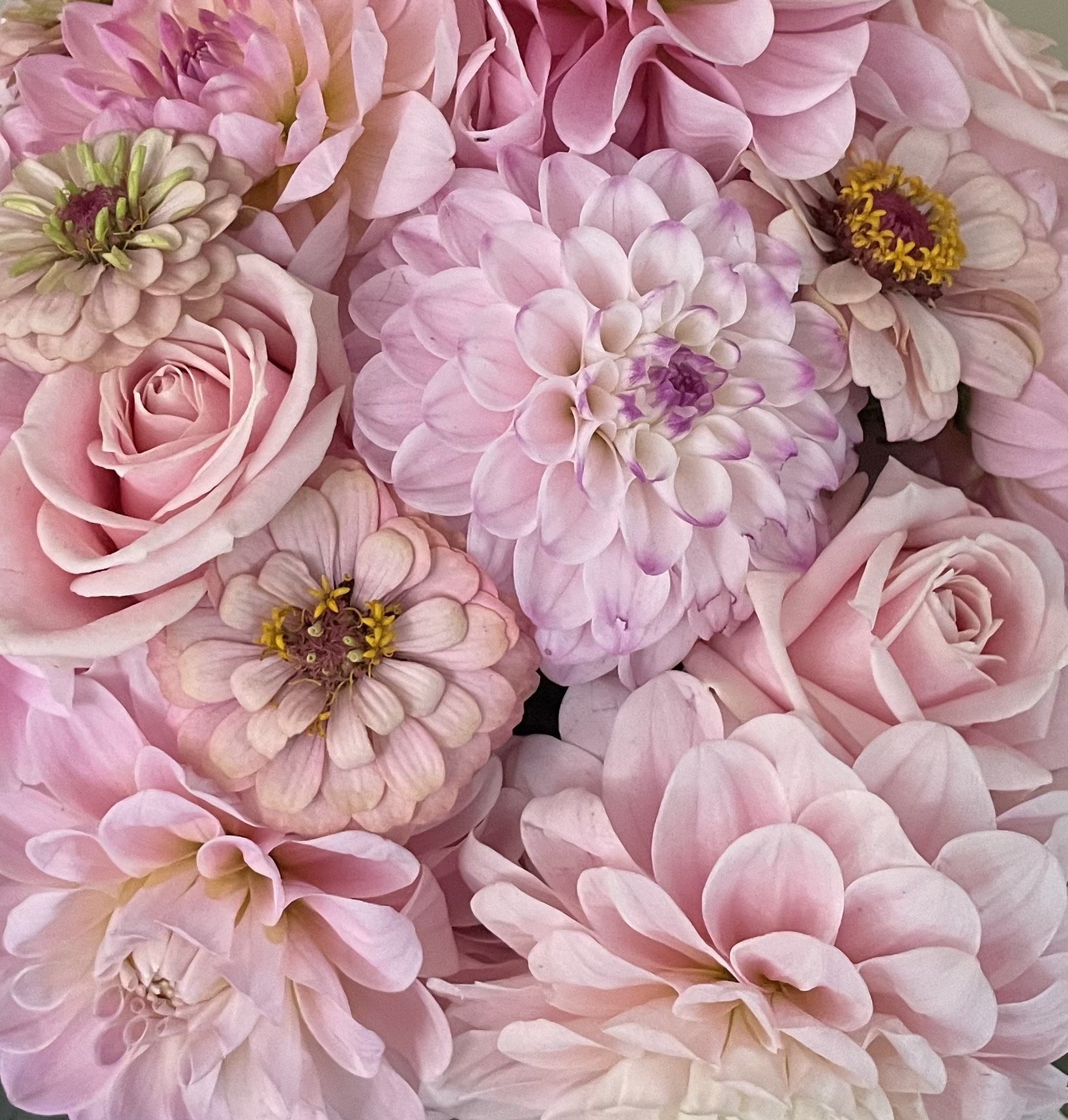Close-up of a bouquet of pink flowers including dahlias, roses, and zinnias with soft petals and intricate centers.