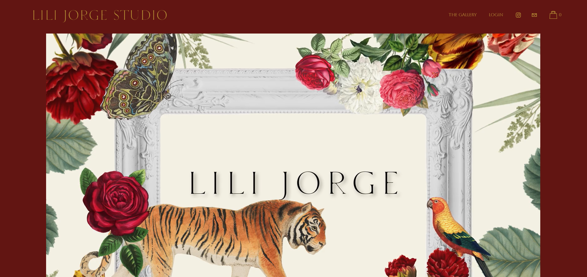 Lili Jorge Studio