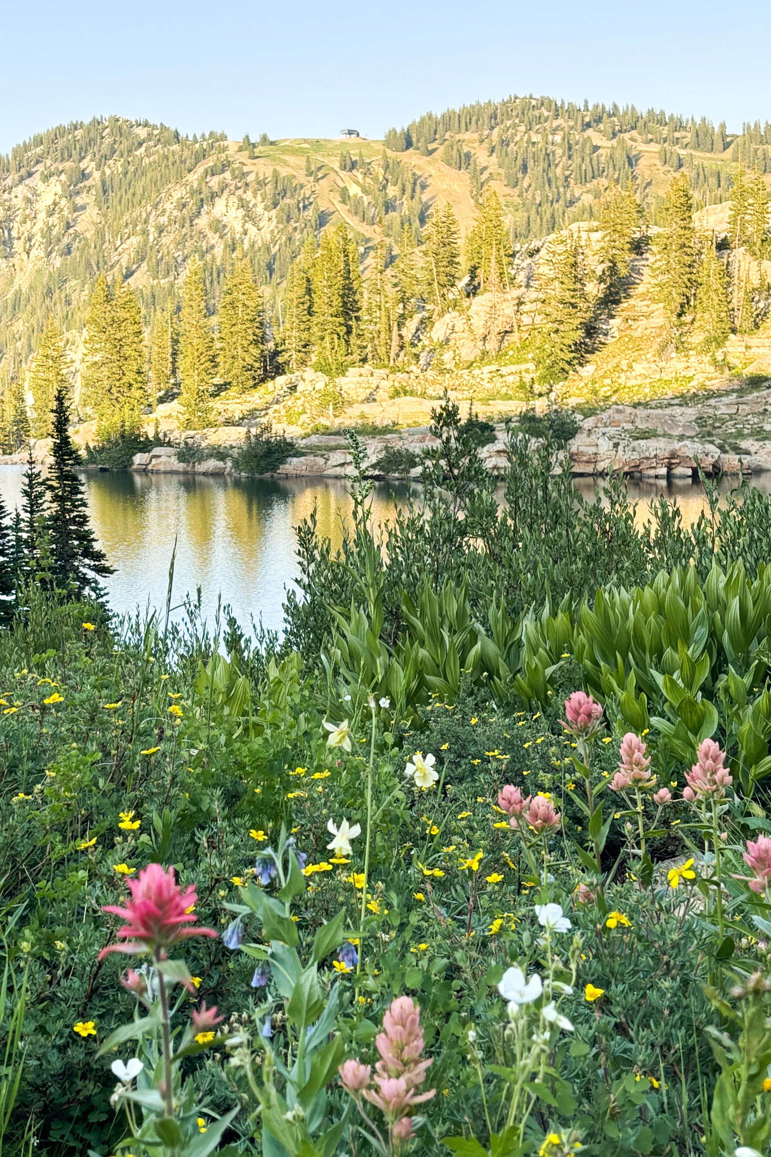 View of a mountain landscape with a lake, green trees, and wildflowers in the foreground, and a mountain with a building at the top under a clear blue sky.