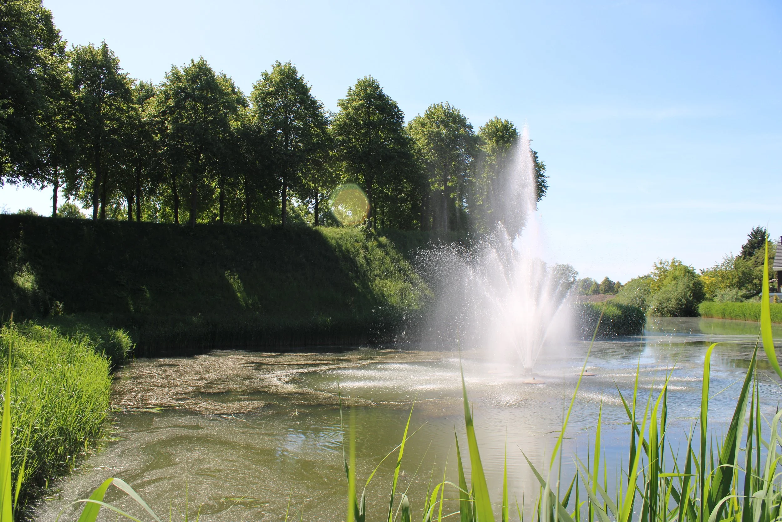 A peaceful scene of a pond with a fountain spray, surrounded by green grass and trees under a clear blue sky.