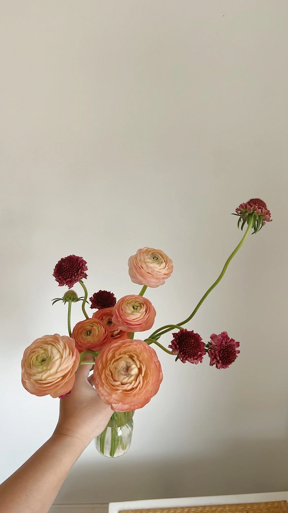 A hand holding a small glass vase with a bouquet of pink, peach, and red ranunculus flowers against a plain white wall background.