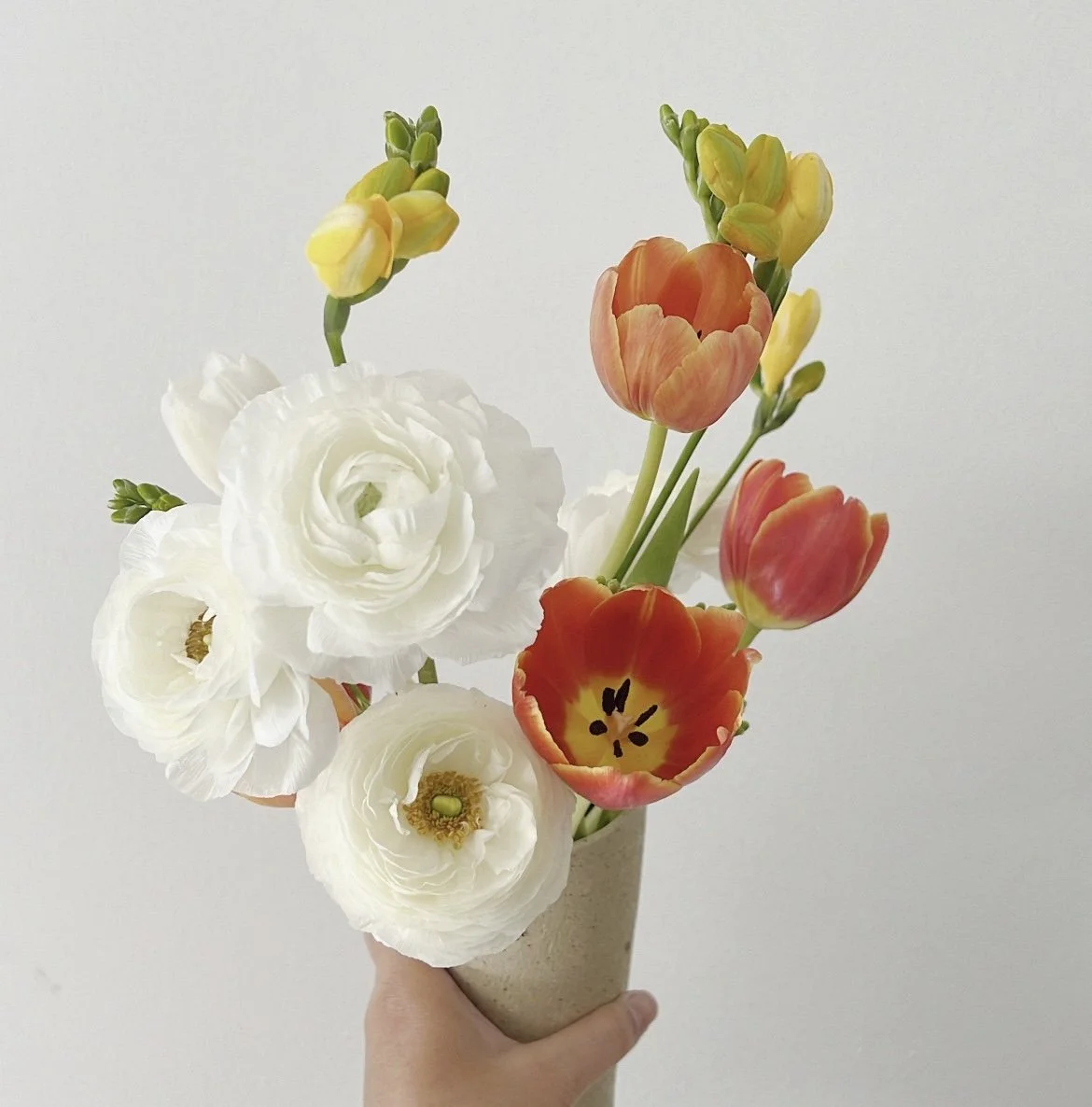 Hand holding a beige vase with white and orange tulips and ranunculus flowers against a plain white background.