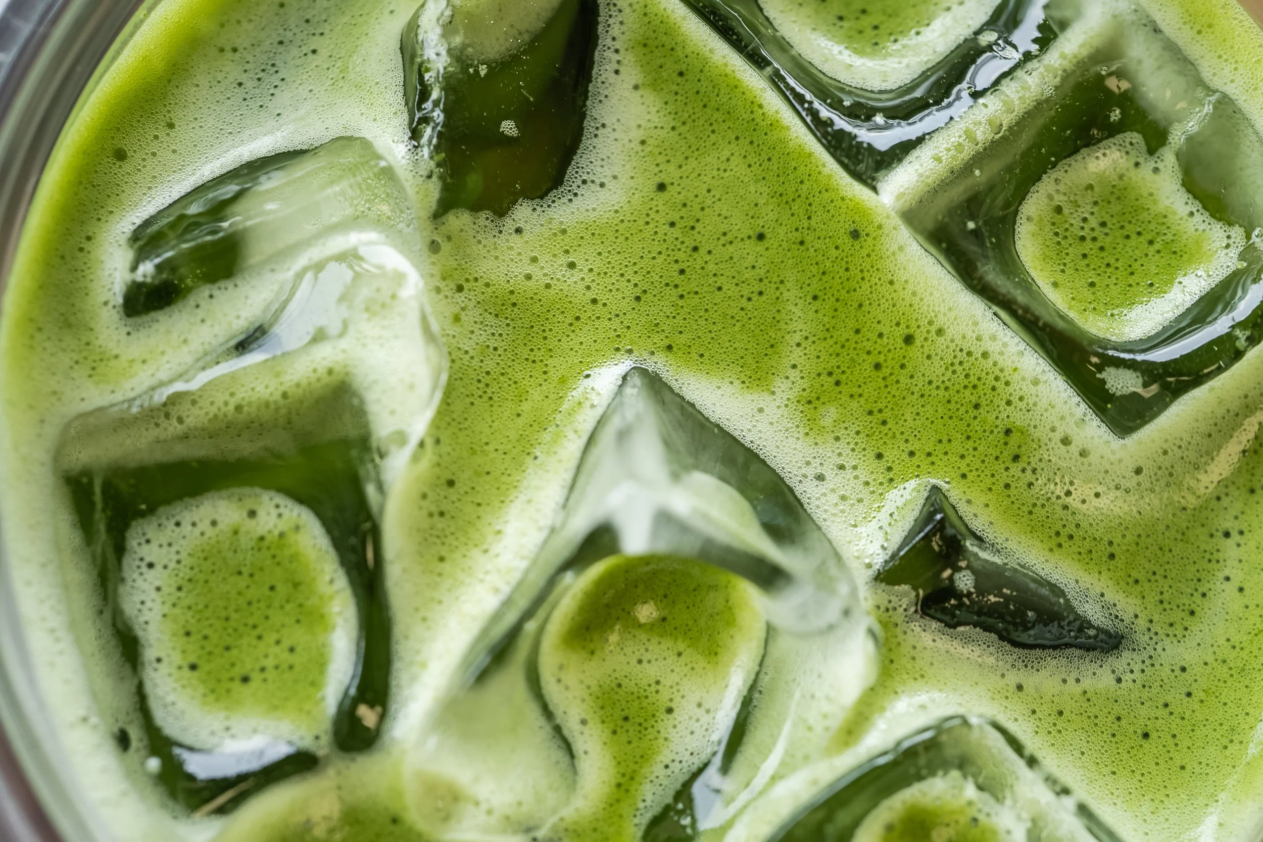 Little Flower Matcha-2026-08866.jpg