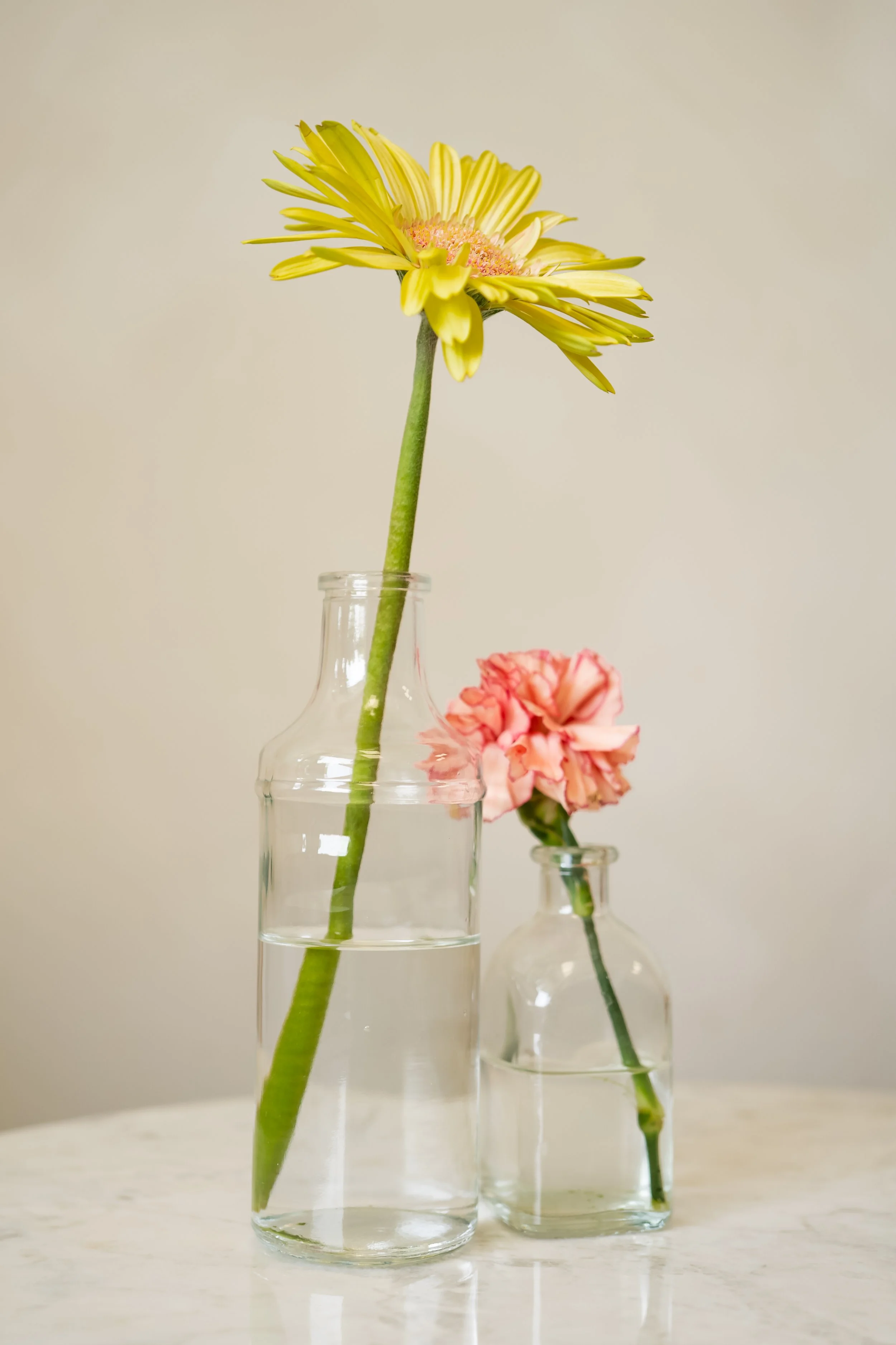 Little Flower Matcha-2026-08791.jpg