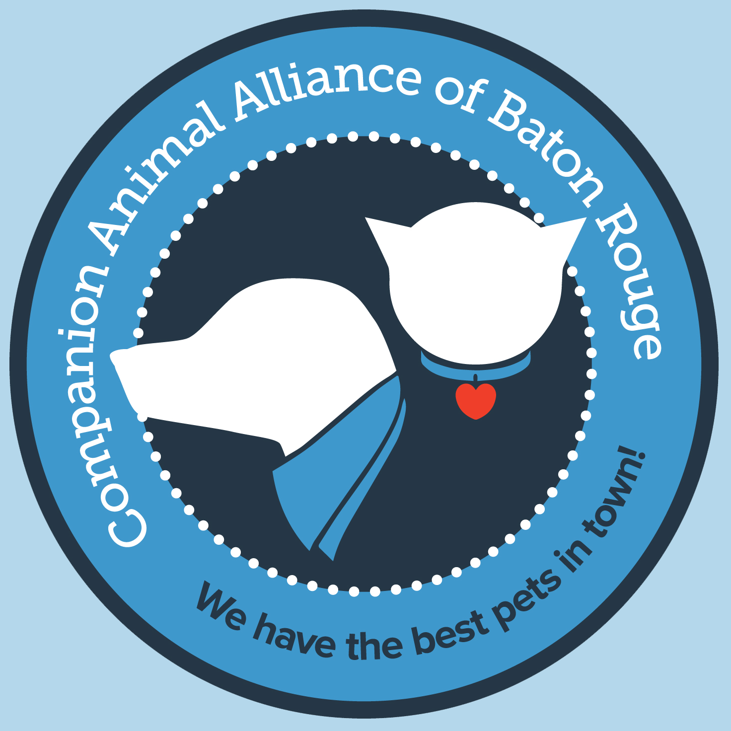 CAA logo.png