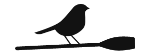 Un oiseau perché sur une branche ou un bâton.