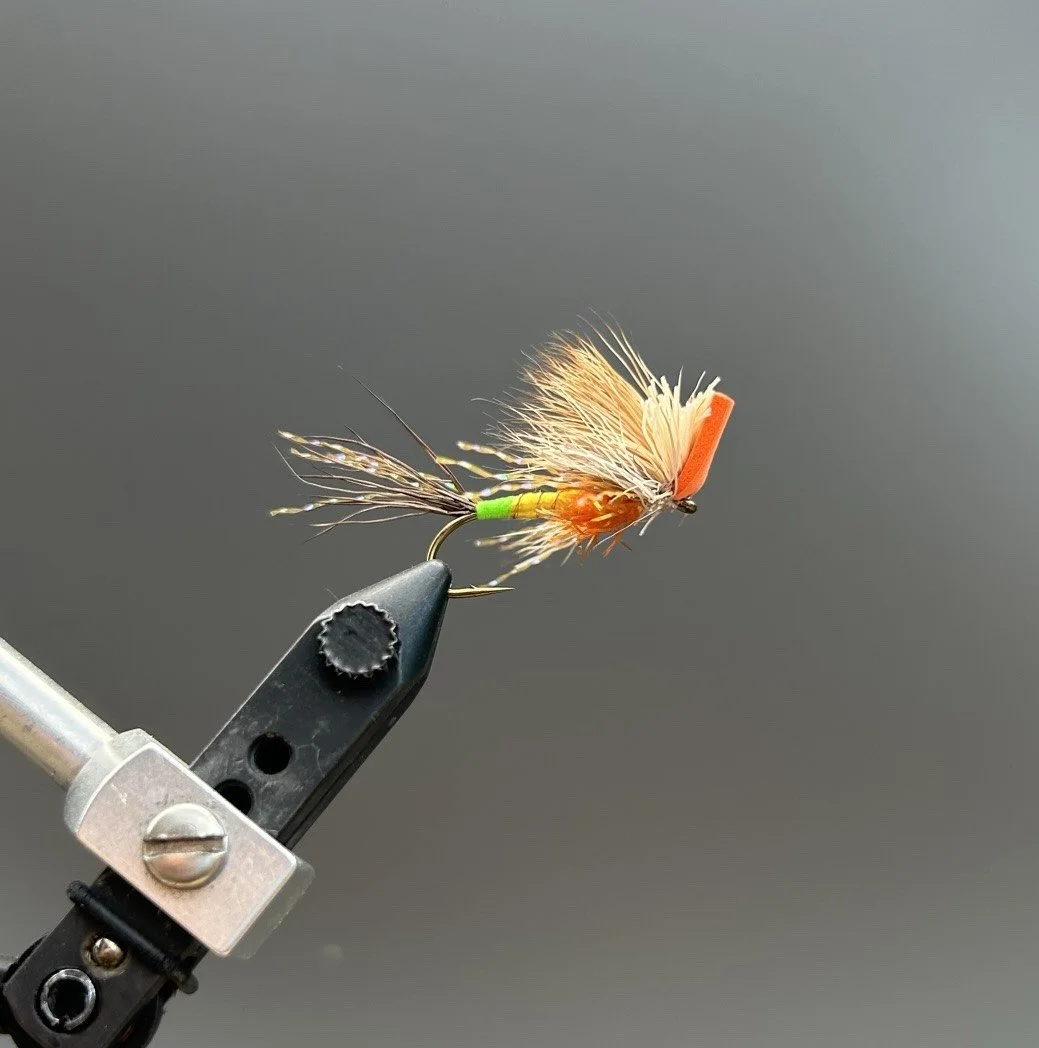 Hiranos_Orange_Wang.jpg