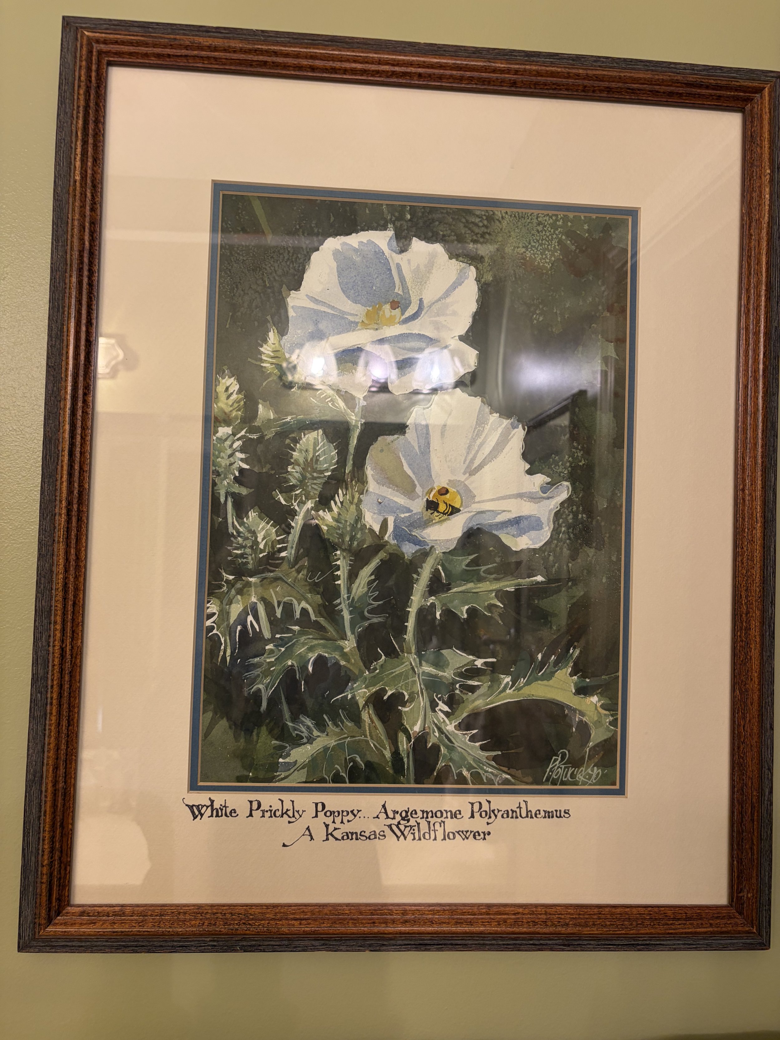 IMG_3128.jpeg