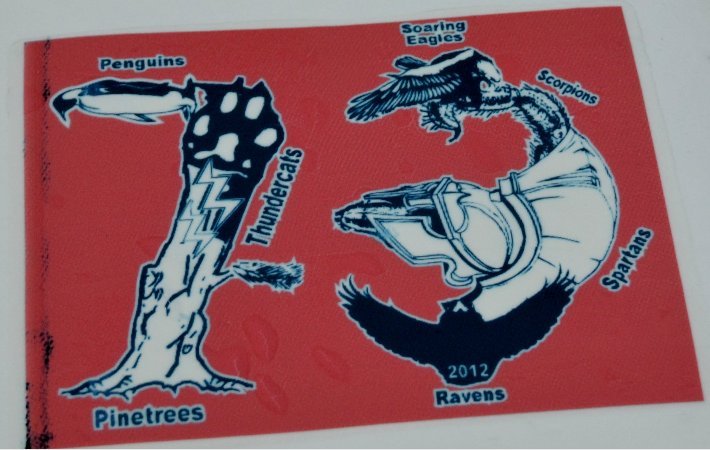 2012 all patrol logos.jpg