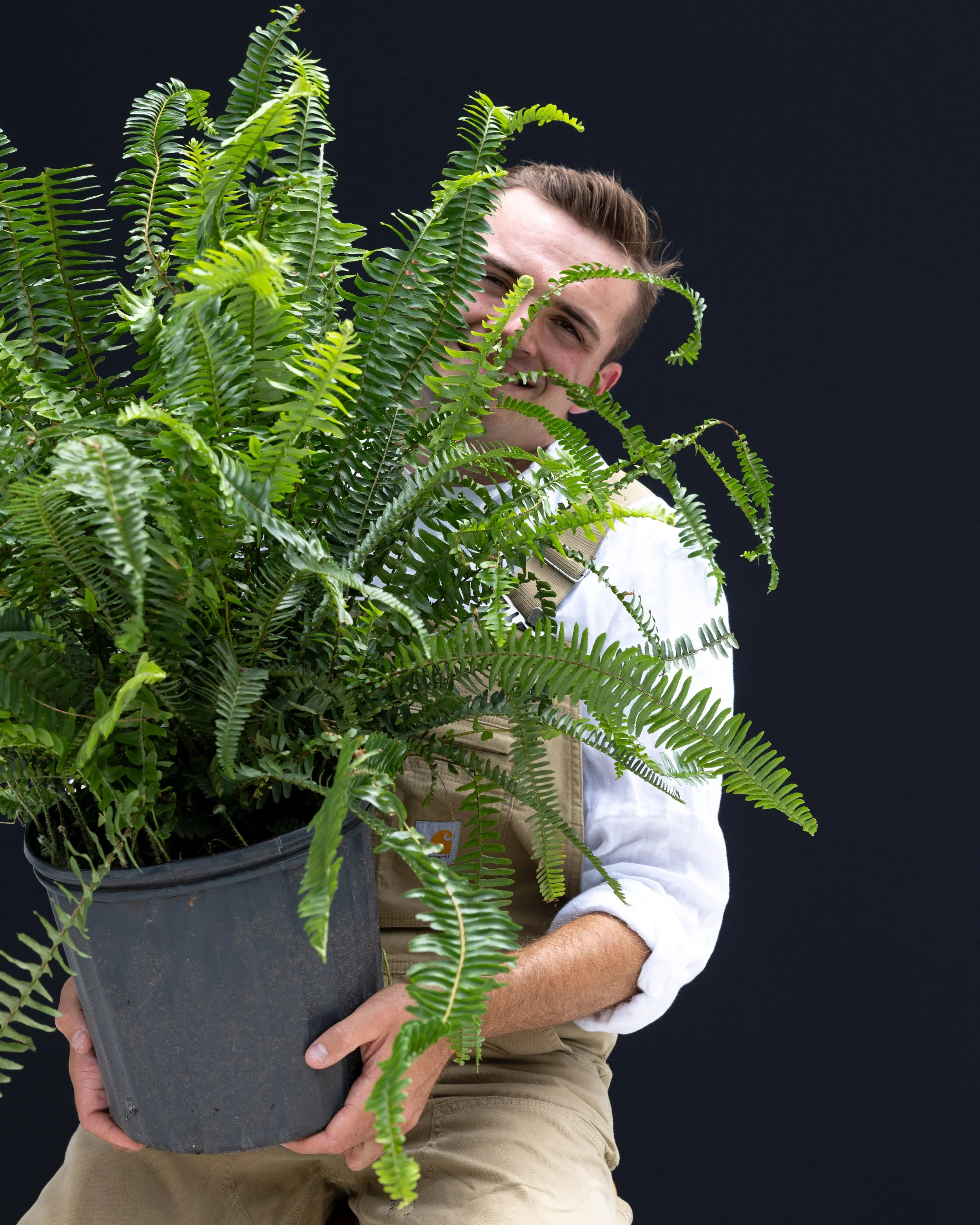 Sean holding a potted fern plant in front of a black background.