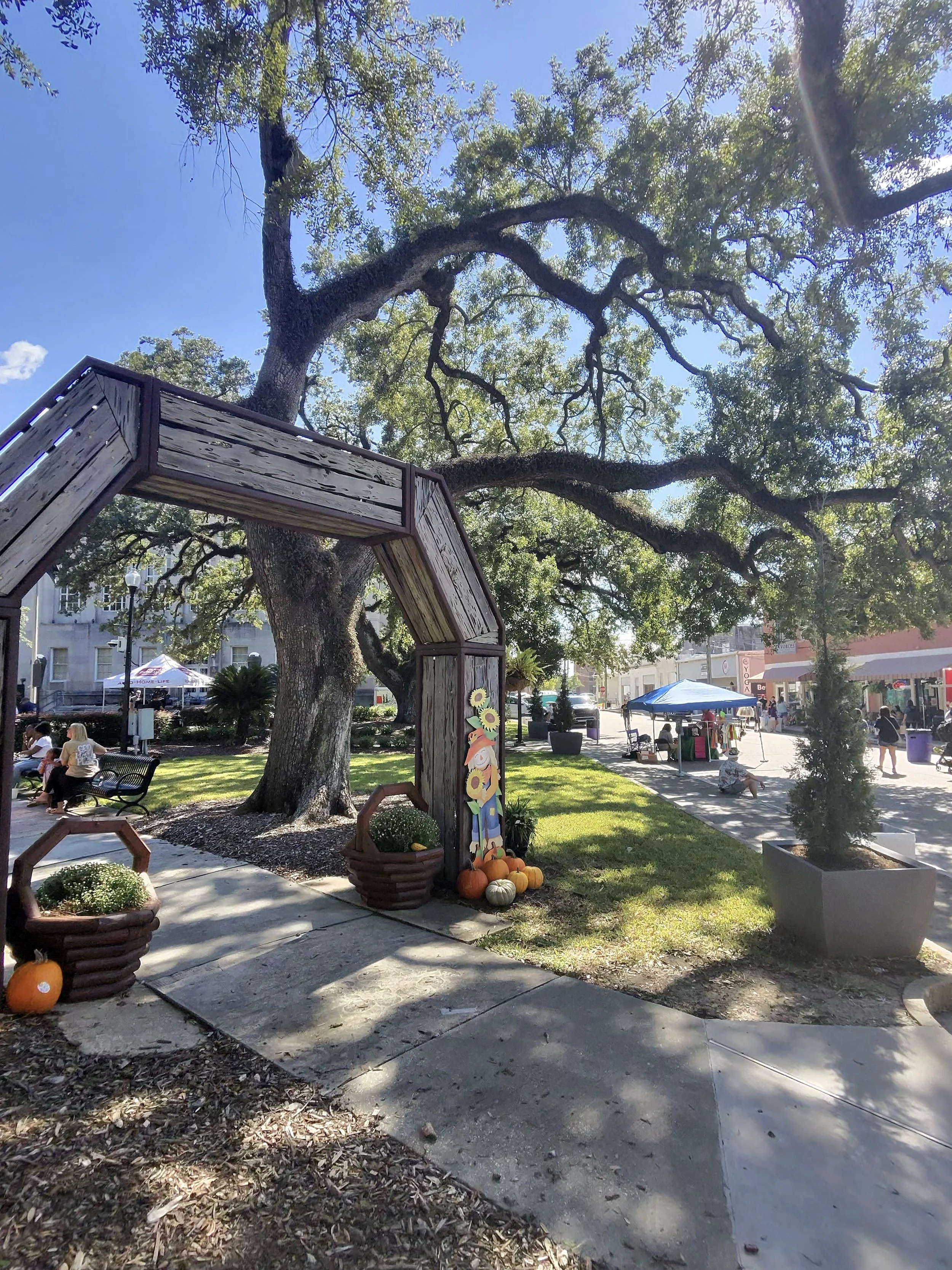 Fall arch under a live oak in downtown Houma during Bayou Arts Fest
