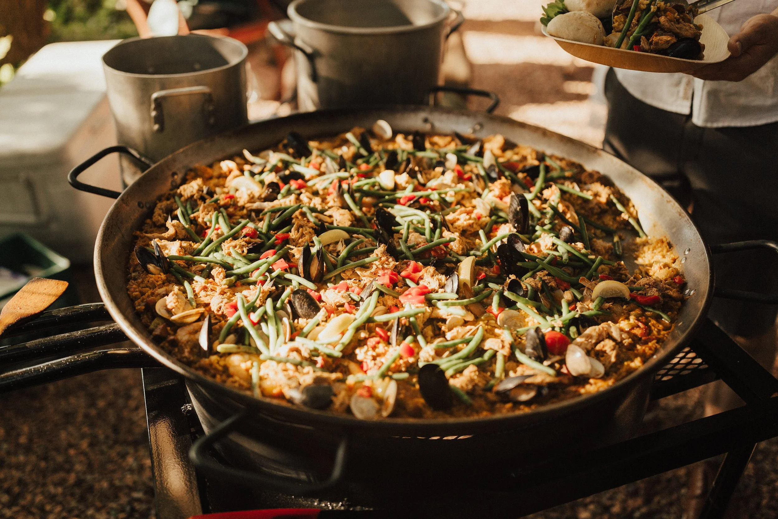 PAELLA IN THE VINEYARD WITH TELAYA WINE CO.