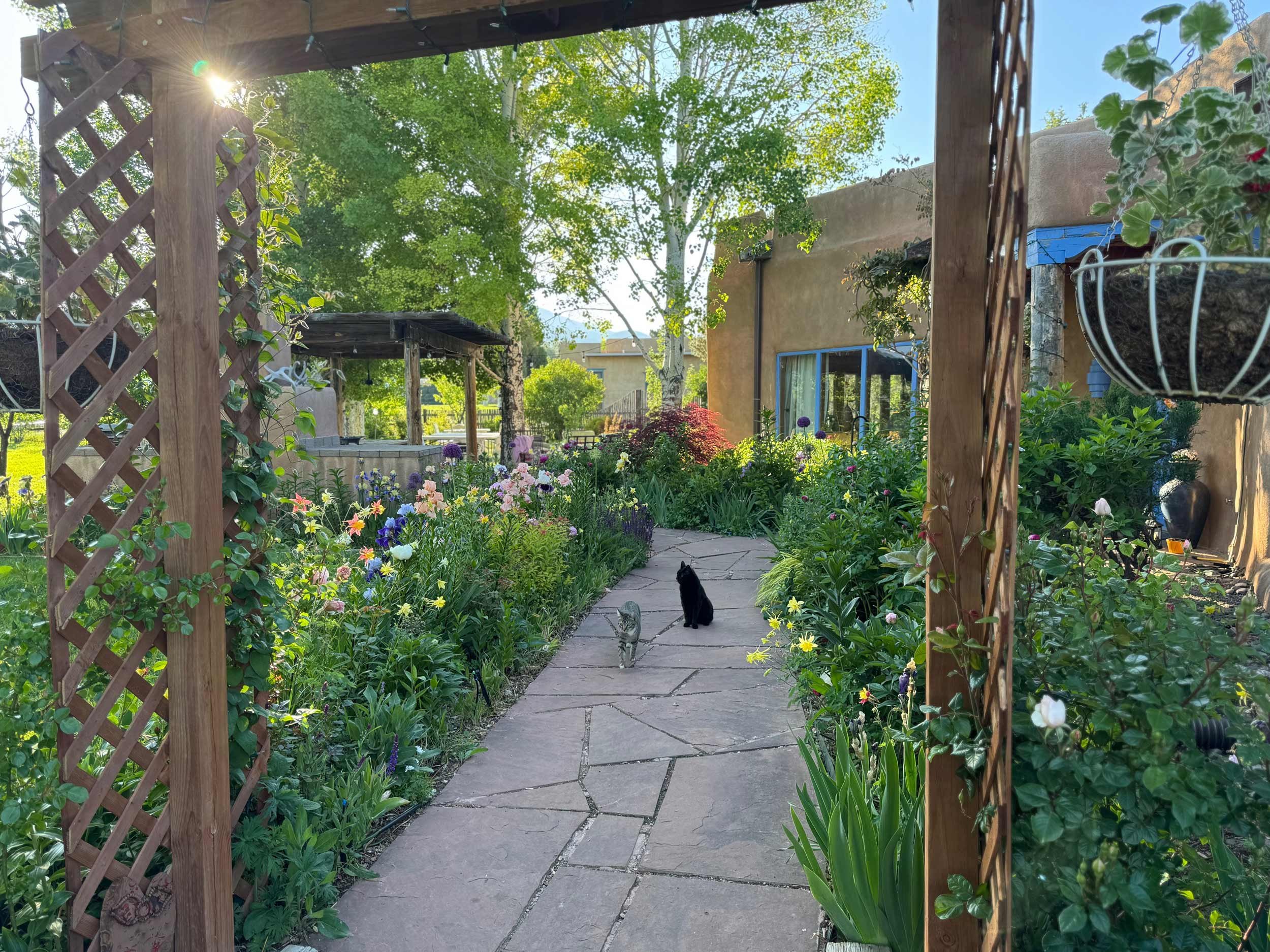 Front Walk