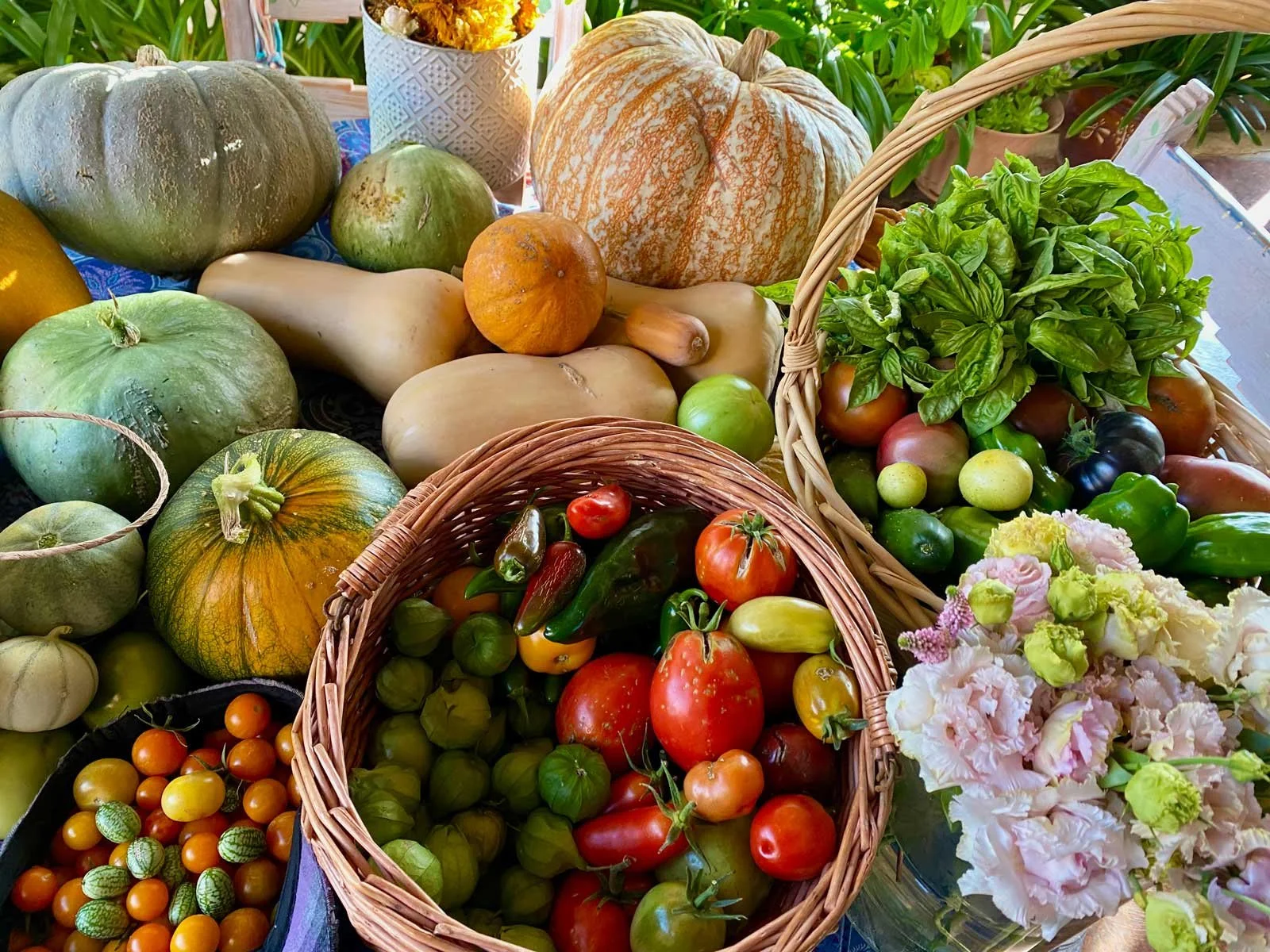 Vegetable and flower harvest