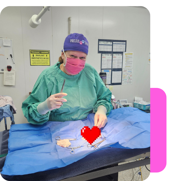 A medical professional in surgical scrubs and pink mask holding surgical tools, standing beside a patient draped in blue surgical cloth in a hospital operating room.