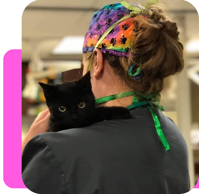 A person with a colorful, rainbow tie-dye scrub cap holding a black cat in a veterinary or animal care setting.