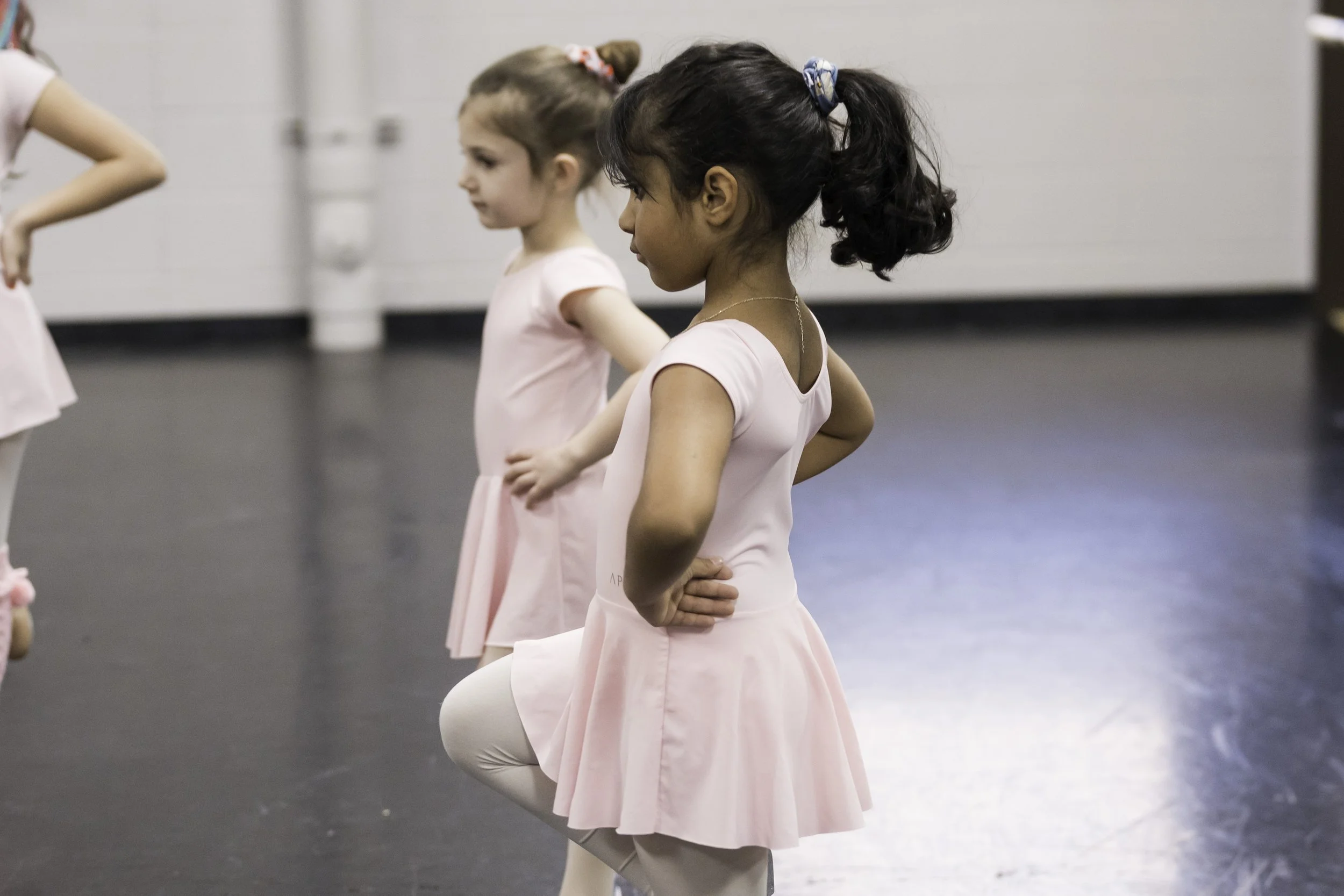 Young girls in pink ballet dresses practicing ballet in a dance studio.