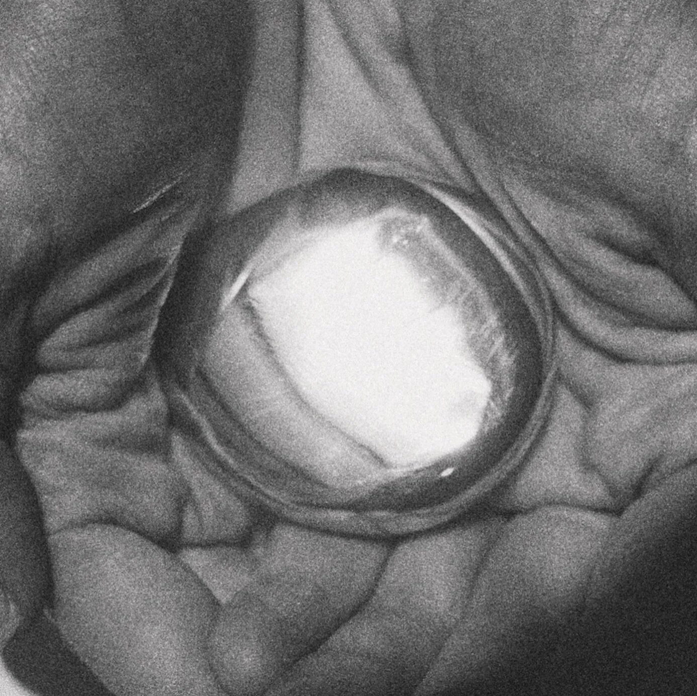 Ritual as Radical Presence: A Regenerative Reflection on Gratitude and Season