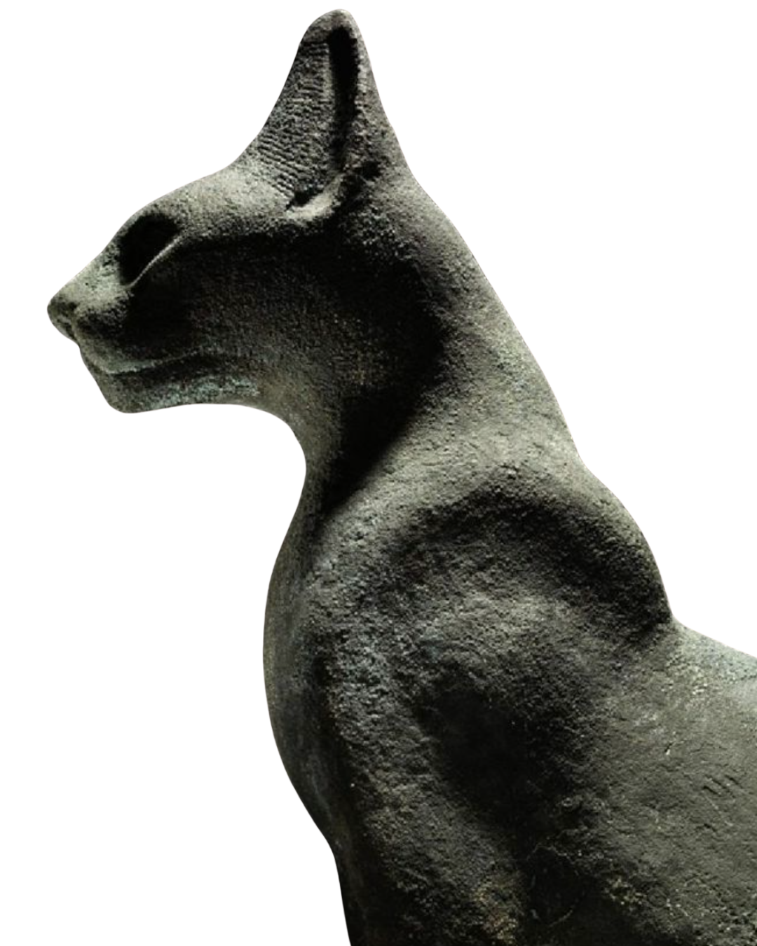 Ancient Egyptian black stone sculpture of a sitting cat with detailed facial features.