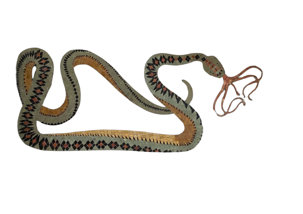 A stylized artwork of a snake with geometric patterns on a black background.