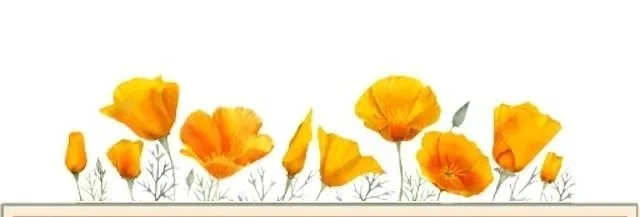 Arrangement of yellow and orange paper poppies on a white background.