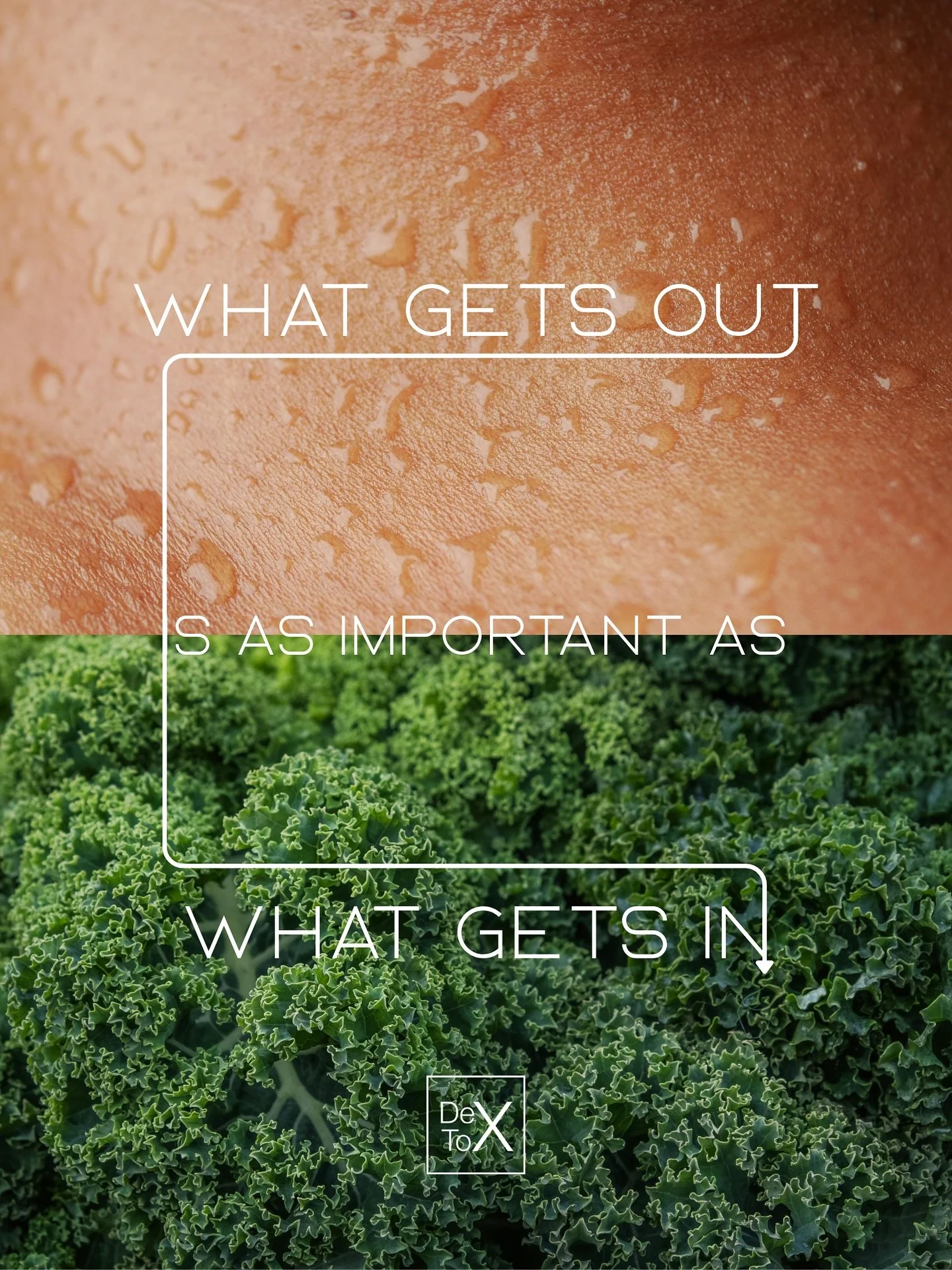 Everyone is talking about nutrition &ndash; and what gets into their body.
And no doubt: The proper nutrition is absolutely central to optimal health.

...but what gets out, is just as important &ndash; and is hardly talked about.
Throughout our live