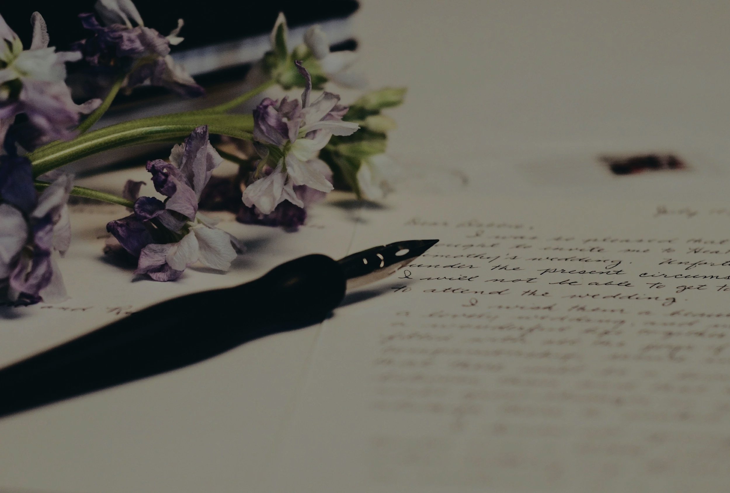 Close-up of dried purple and white flowers resting on handwritten letters and a vintage ink quill pen on paper.