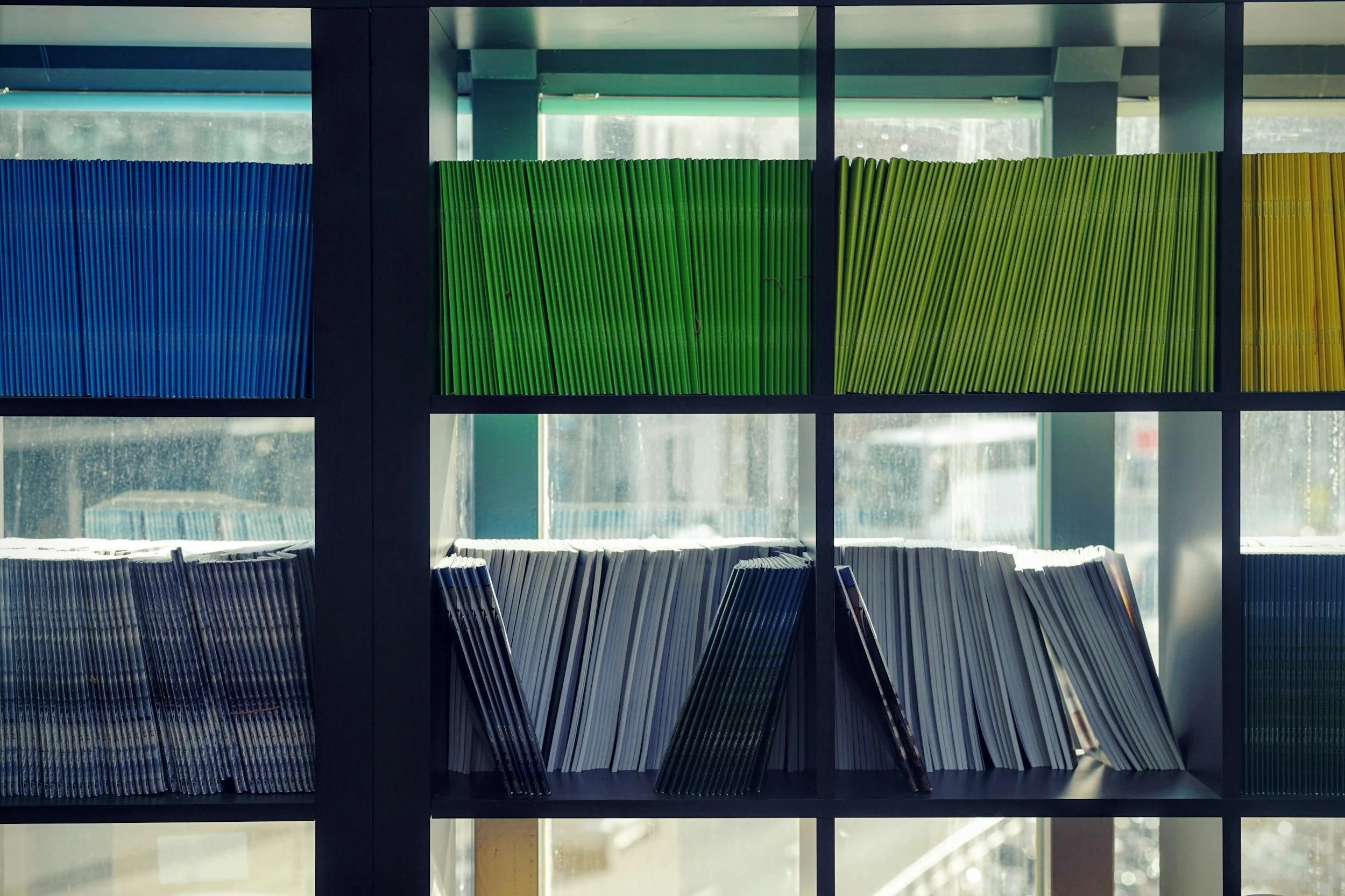 Estantes con libros en colores azul, verde y amarillo en una librería con ventanas al fondo.