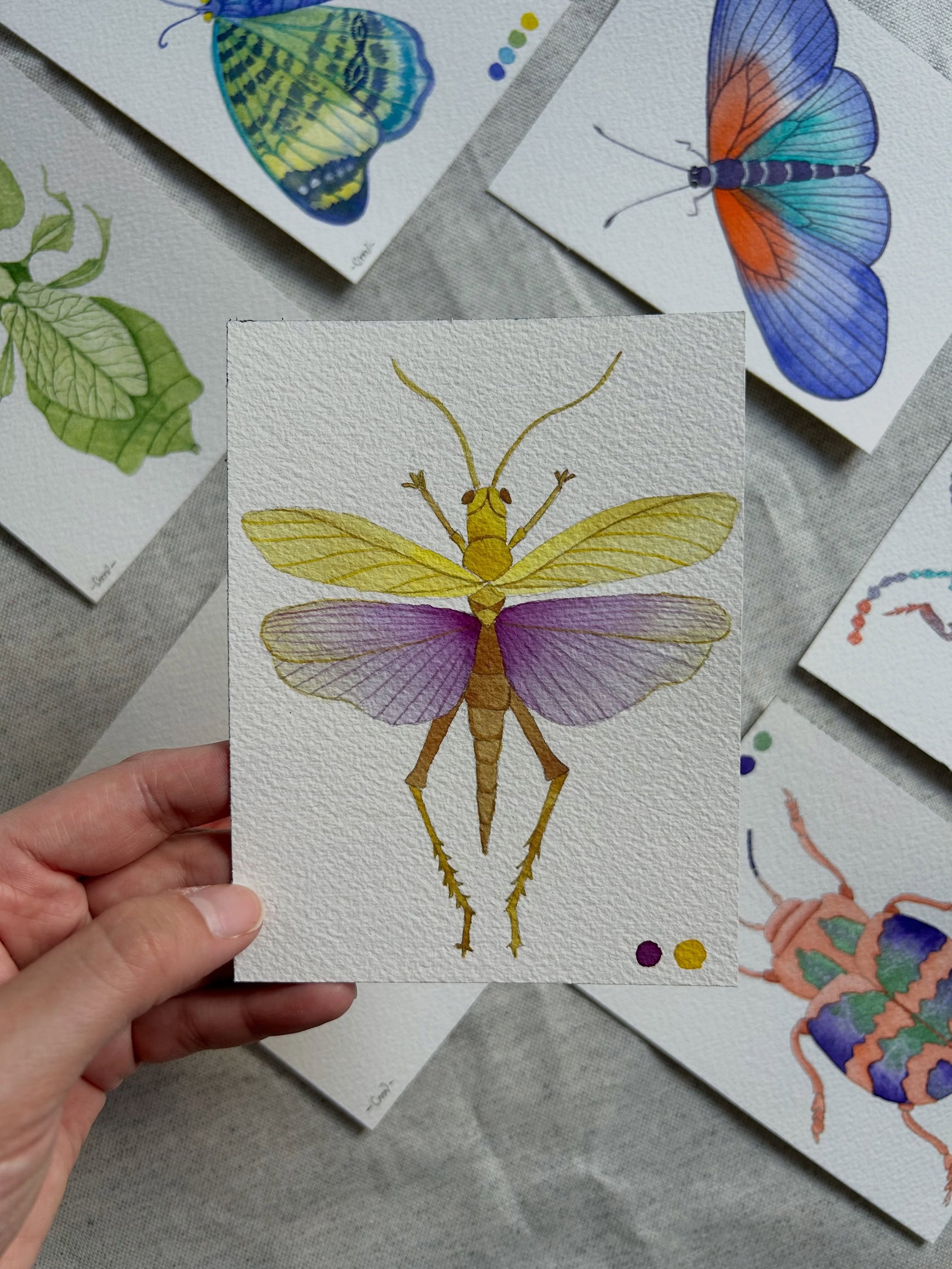 Esta serie me est&aacute; retando y eso me emociona.

Rara vez hubiese elegido esta combinaci&oacute;n de colores, pero esa es la idea.

Ir probando, experimentando, viendo que te gusta y que no y de cada experiencia se aprende.

As&iacute; se va con