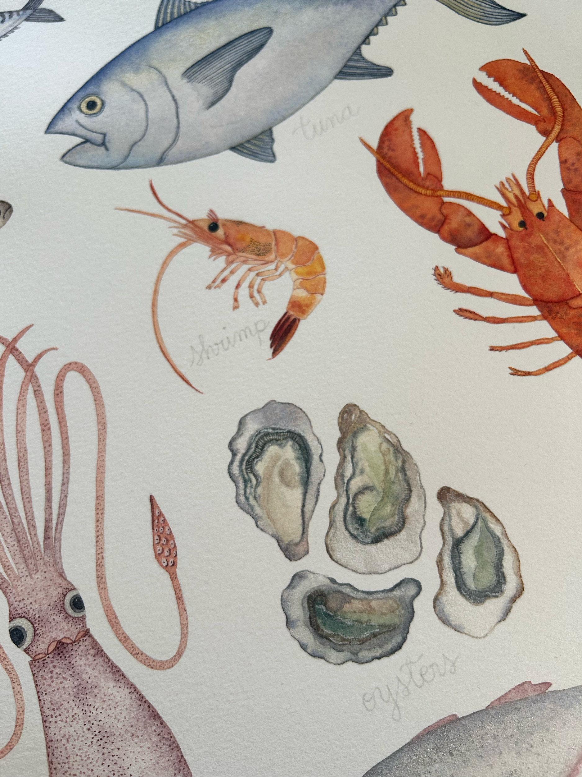 Ilustración marina en acuarela con peces, langostas, ostras y elementos del mar.