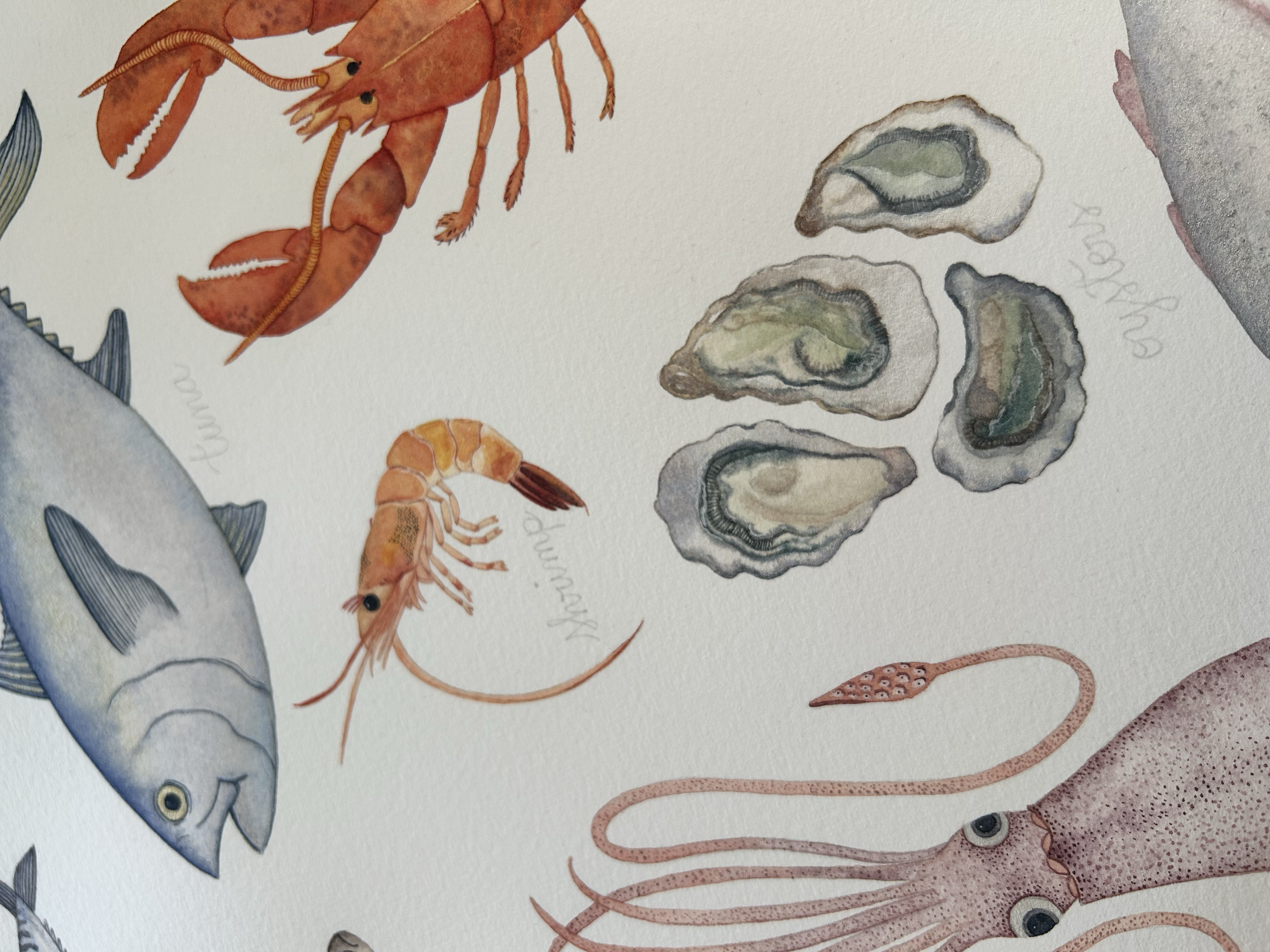 Ilustración marina en acuarela con peces, langostas, ostras y elementos del mar.