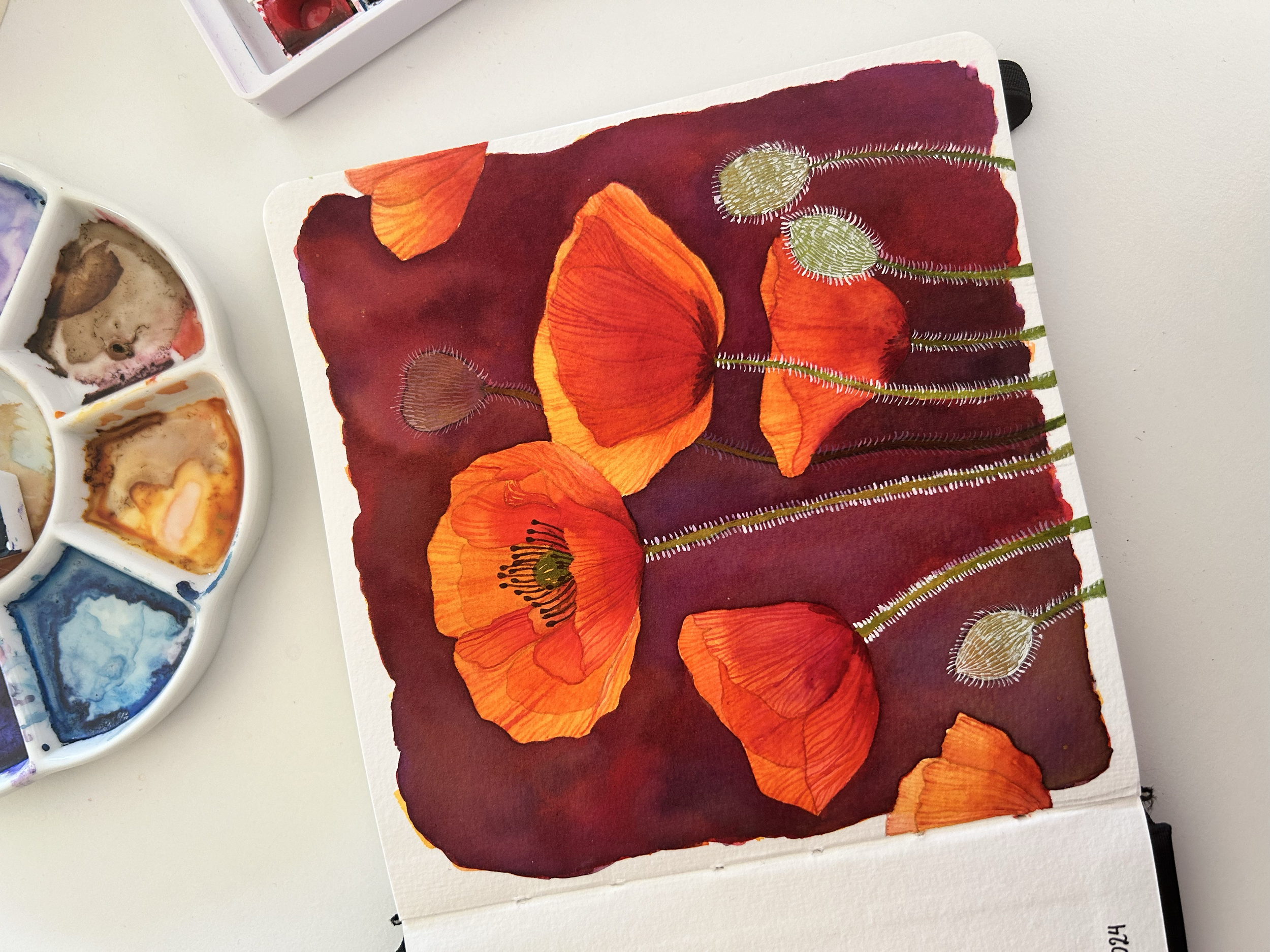 Ilustración en acuarela de amapolas rojas pintadas a mano por carlissima.