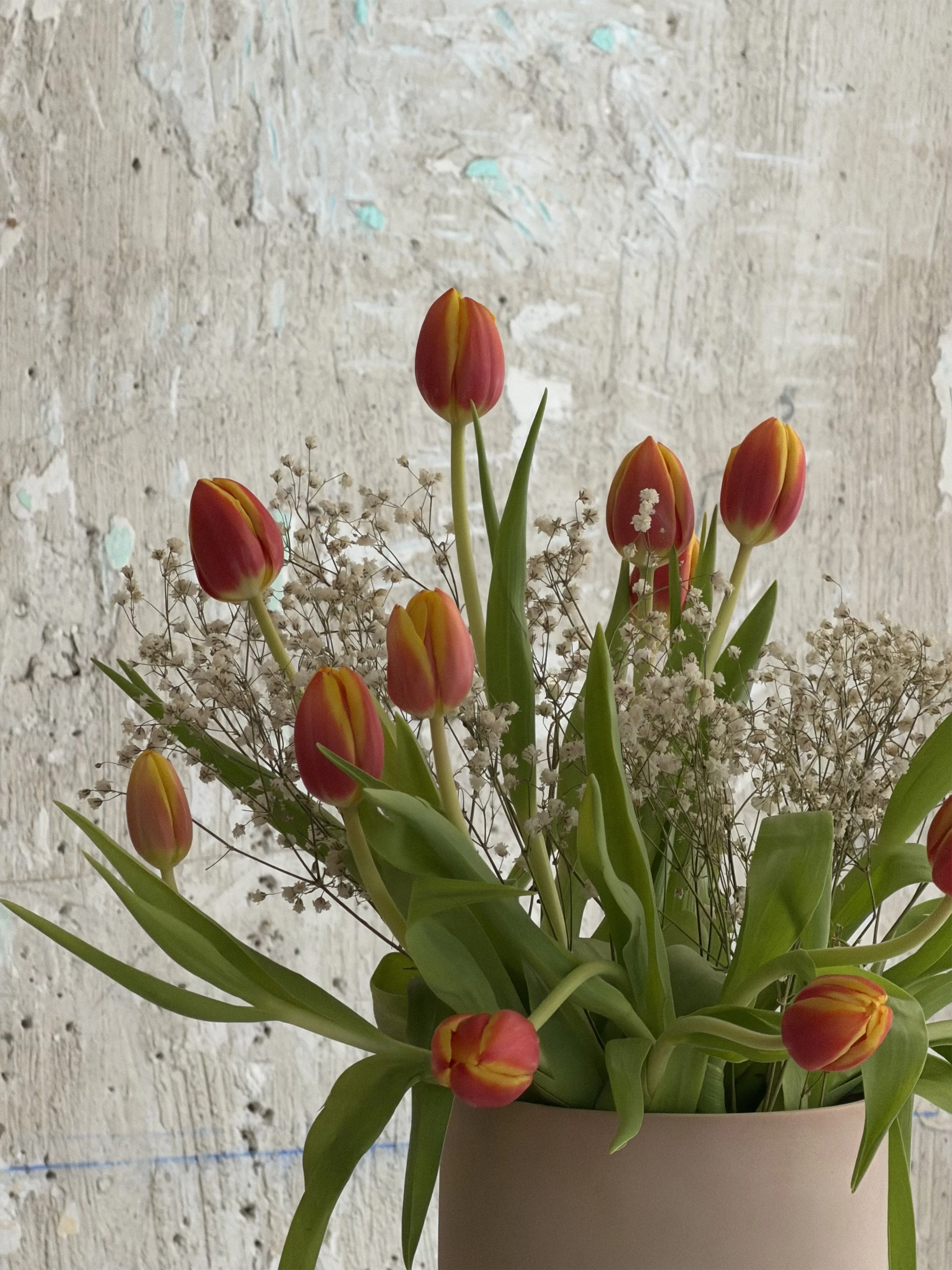 tulipanes para decorar el taller de acuarela en madrid por calissima