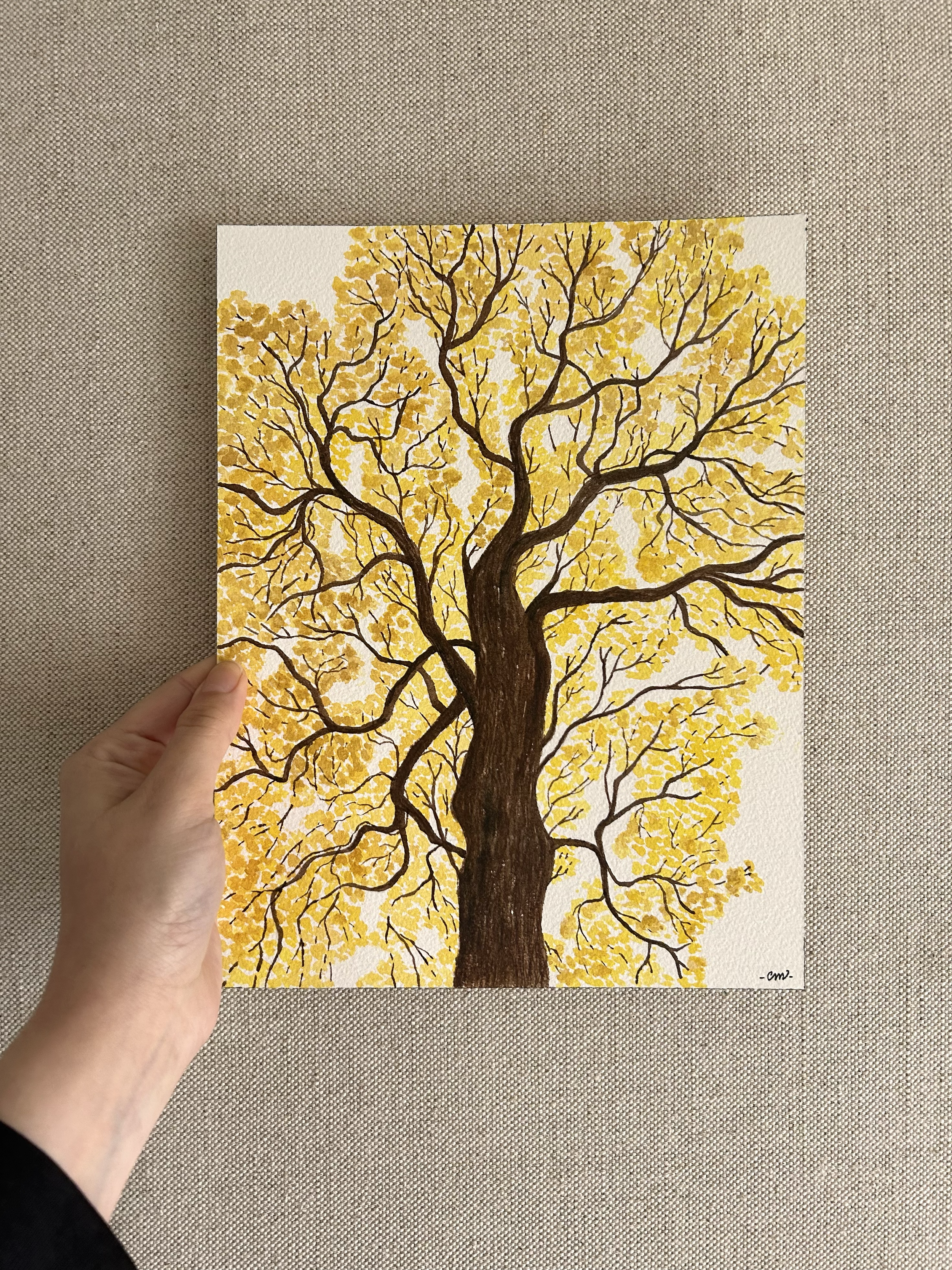 Ilustración en acuarela de un araguaney  pintado a mano por carlissima.