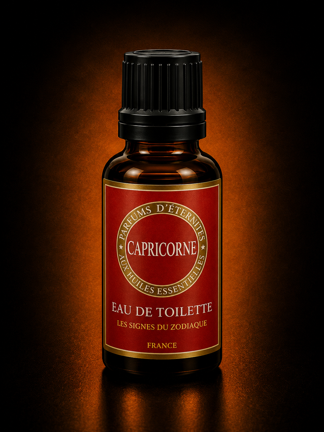 Capricorne.PNG