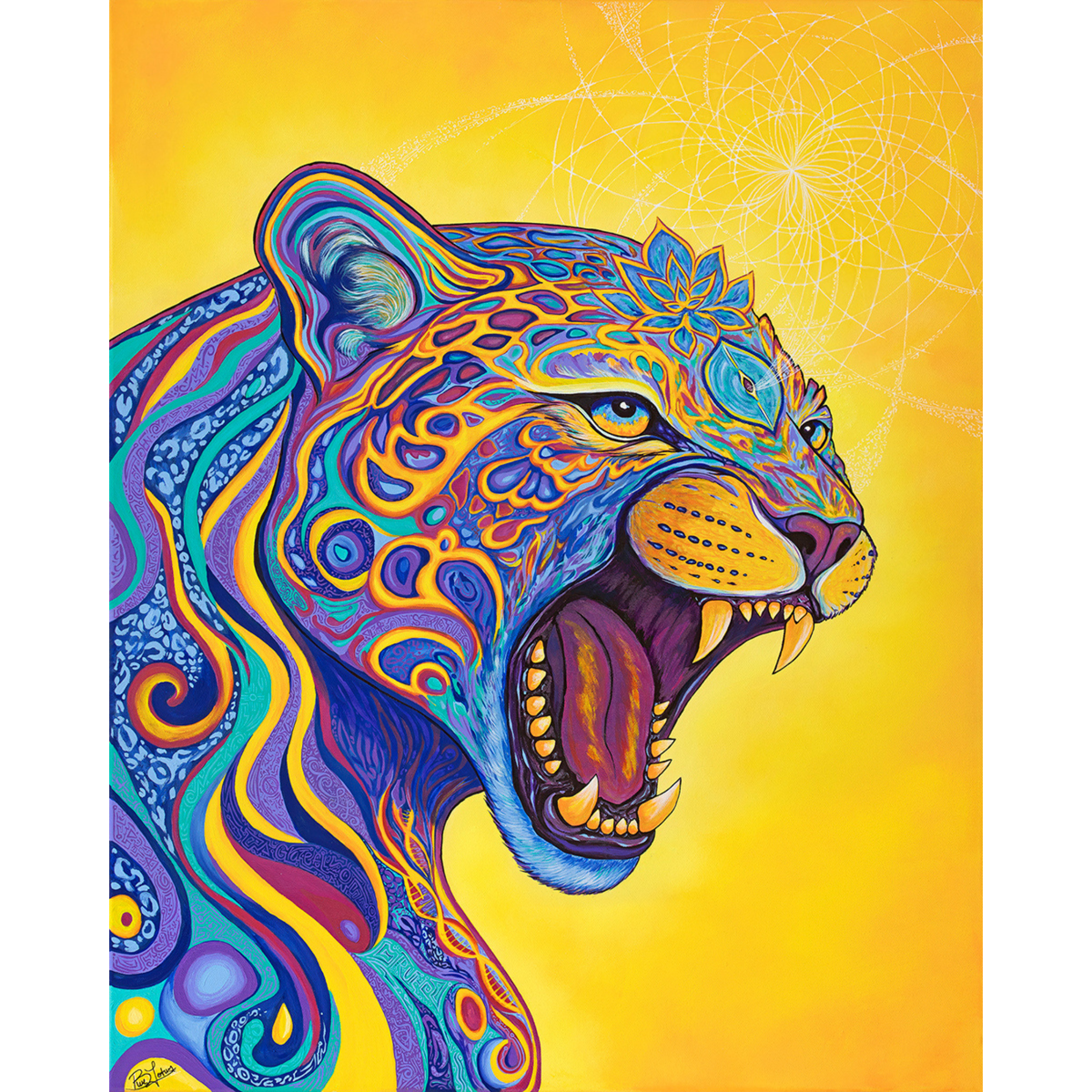 IMG_5334.PNG