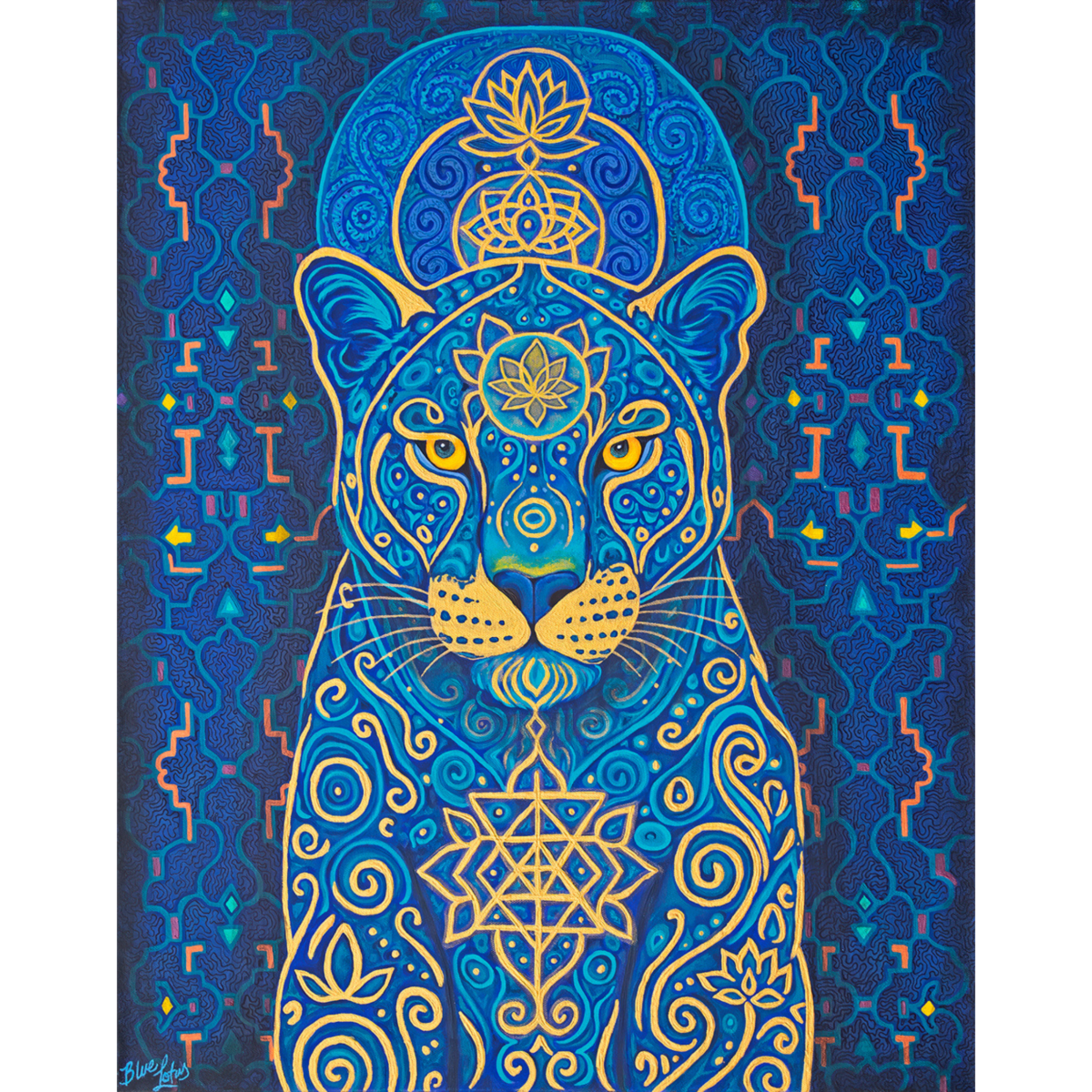 IMG_5348.PNG (Copy)